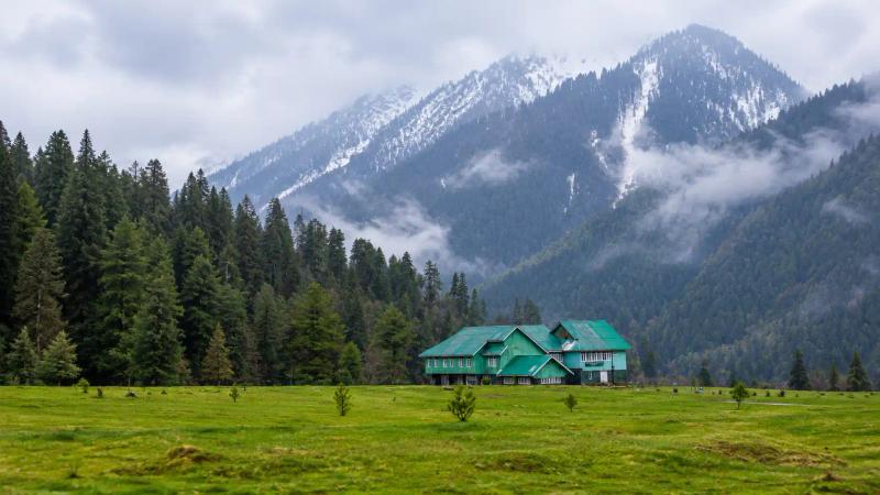 Misty Kashmir meadow with a green wooden lodge, from the top 10 travel agents in Kashmir guide