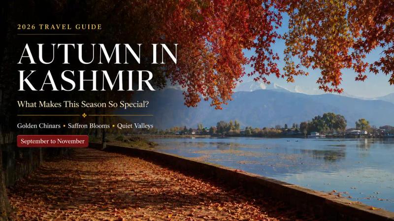 Autumn in Kashmir with golden Chinar trees, fallen leaves beside Dal Lake and Himalayan mountains during the September-to-November season.