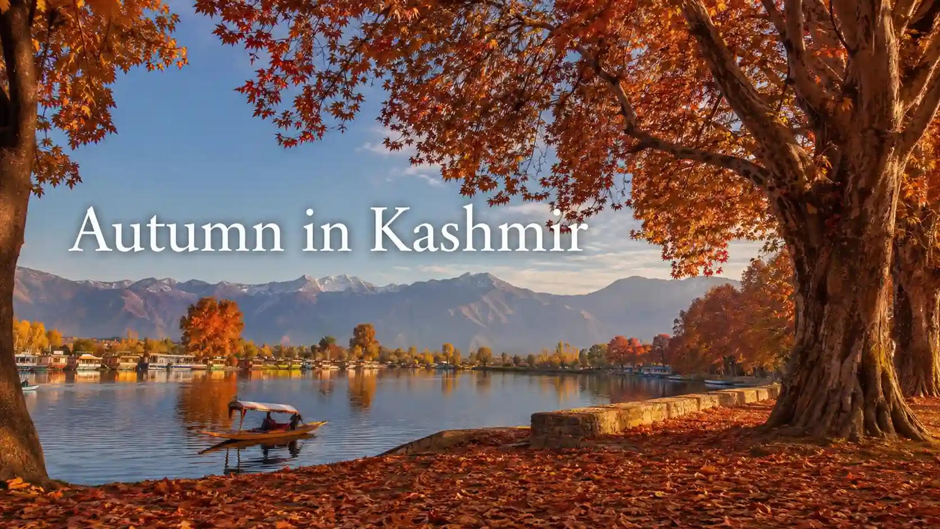 Autumn in Kashmir: What Makes This Season So Special?