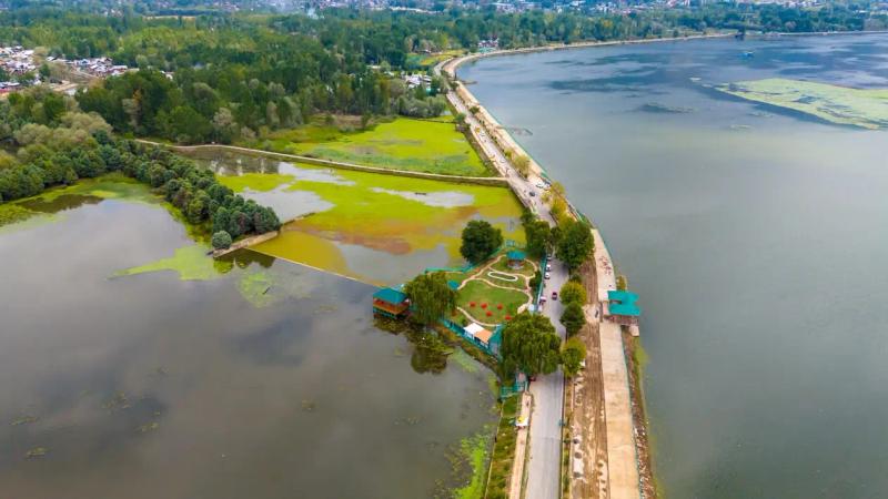 Lotus leaves and lakeside houseboats below mountains, Dal Lake vs Nigeen Lake Kashmir