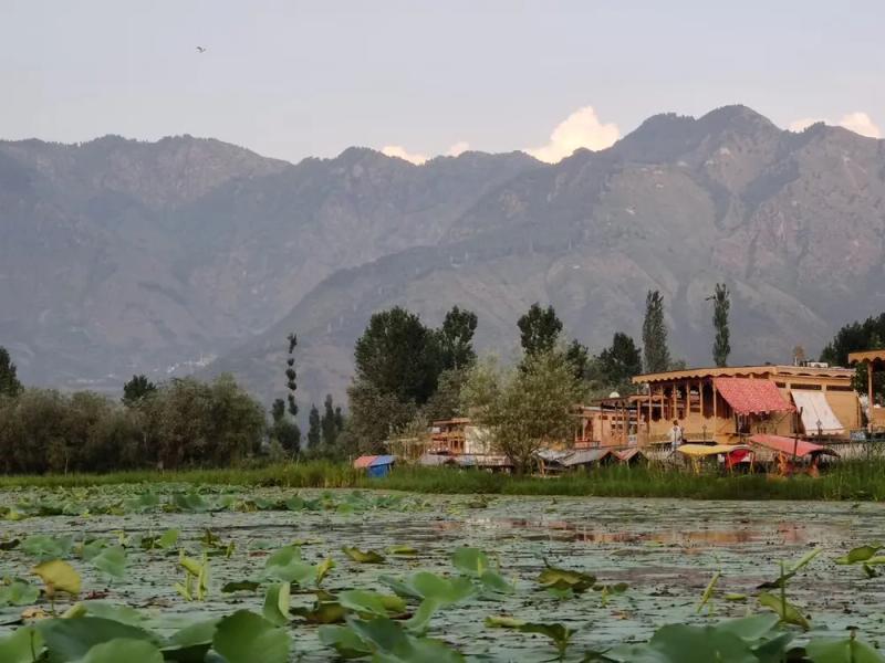 Dal Lake vs Nigeen Lake: shikara at sunset with mountains and houseboats in Srinagar