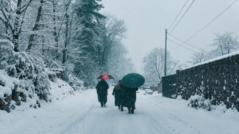 Chillai Kalan in Kashmir featuring people and a horse moving through a dense forest covered in fresh snow.