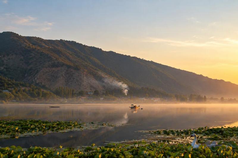 Travel agents in Srinagar plan trips around Dal Lake at sunrise