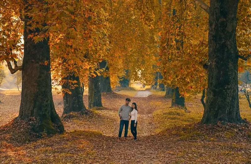 Kashmir honeymoon in autumn — golden Chinar trees reflecting on Dal Lake, Nishat Bagh, October