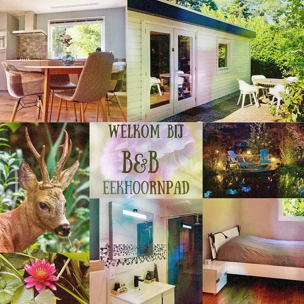 B&B Eekhoornpad accommodations