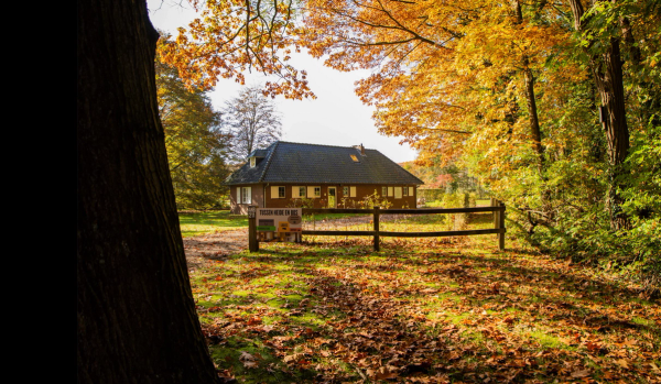 Tussen Heide en Bos accommodations