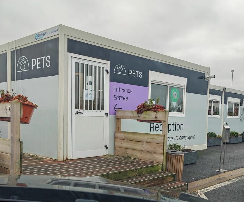 pet reception