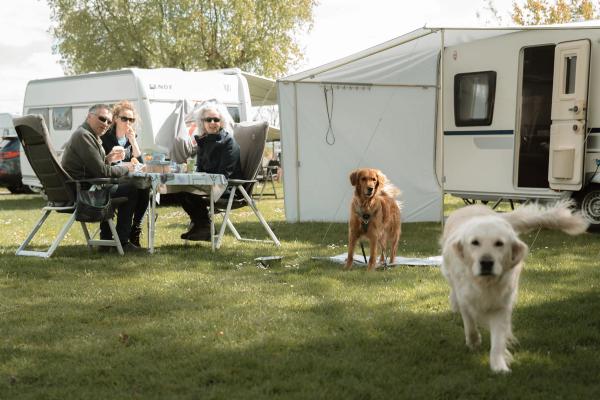 Camping Natuurlijk Limburg / Taverne Haciënda camping