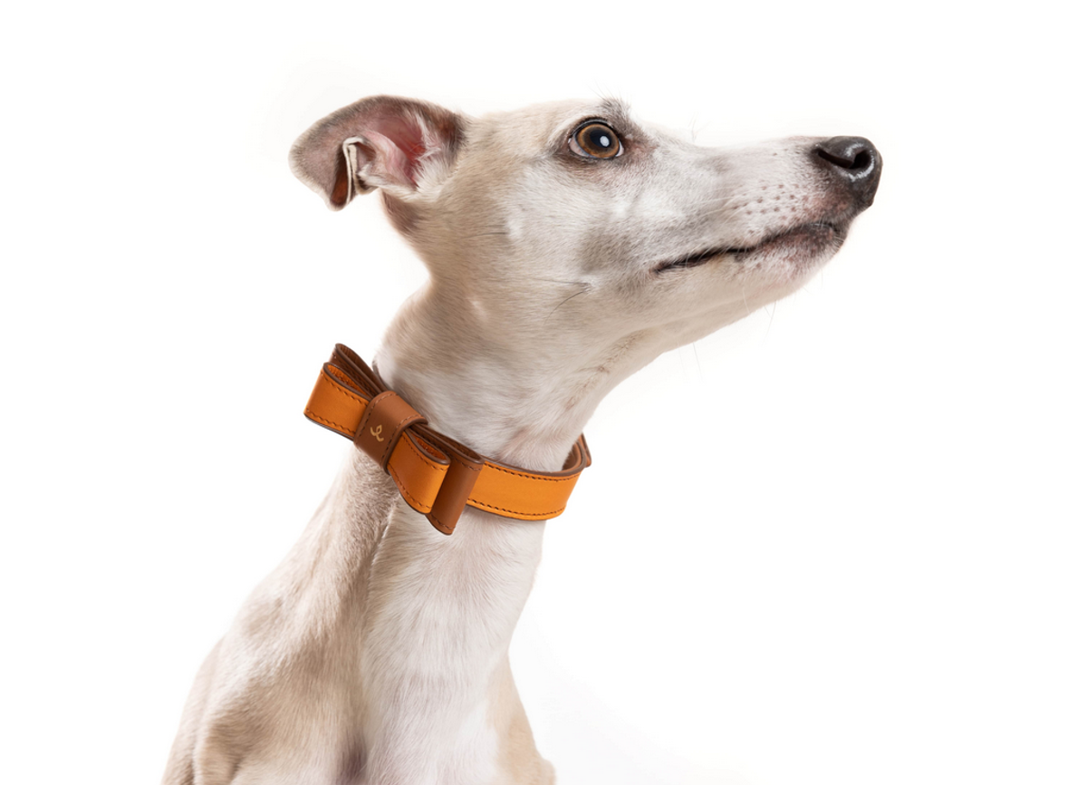 Halsbandje met strik