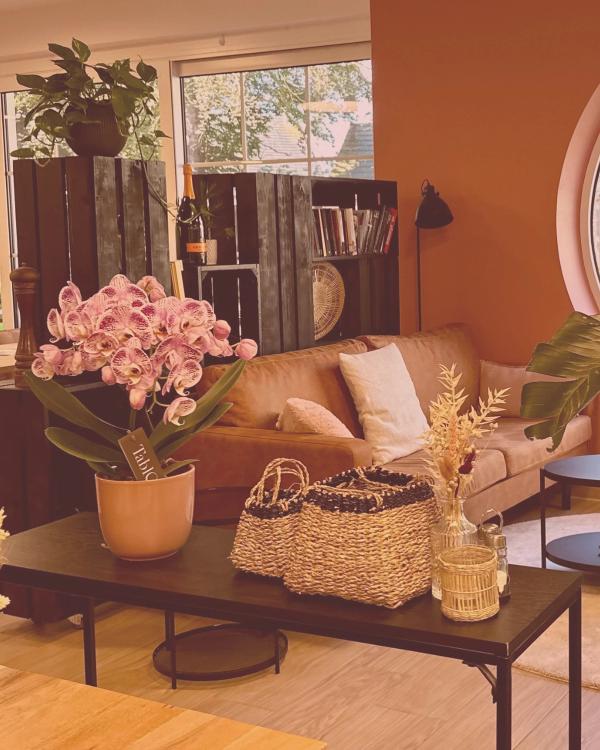 Brasserie Chérie Lokeren restaurant