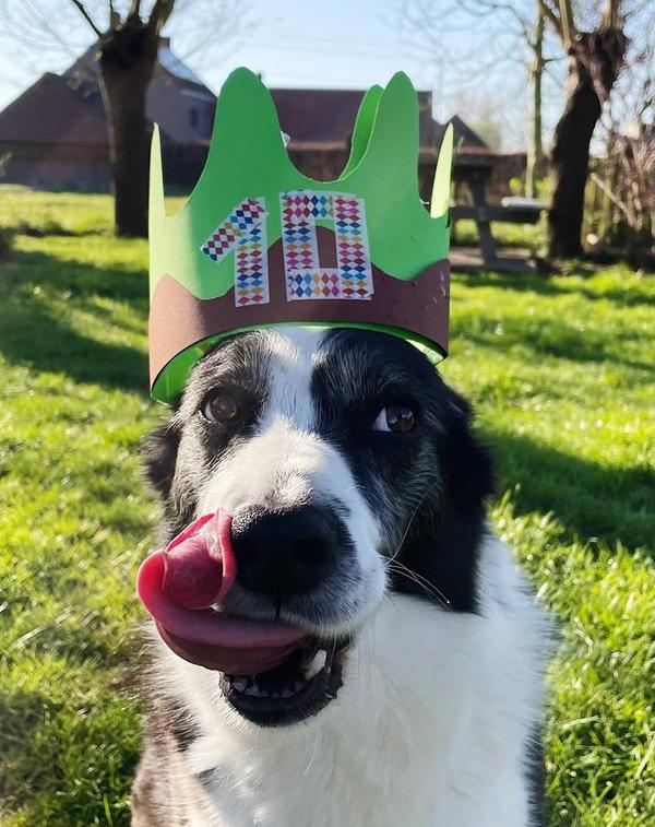 Achiel en Hector ontbijt-koffiehuis