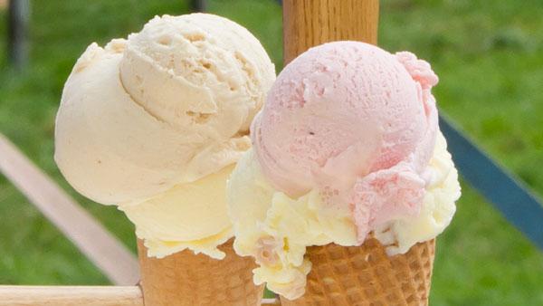 Casteleyn Ice Cream andere-food