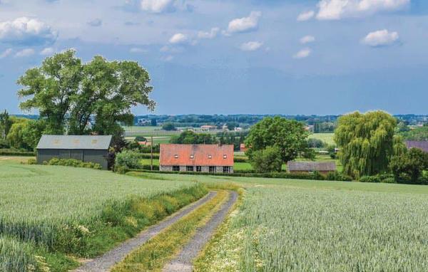 Fazantenest  vakantiewoning