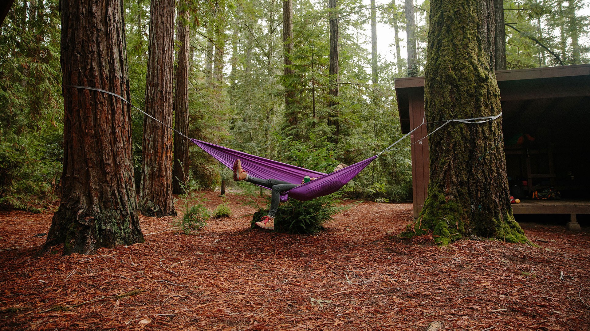 igloo-hammock.jpg
