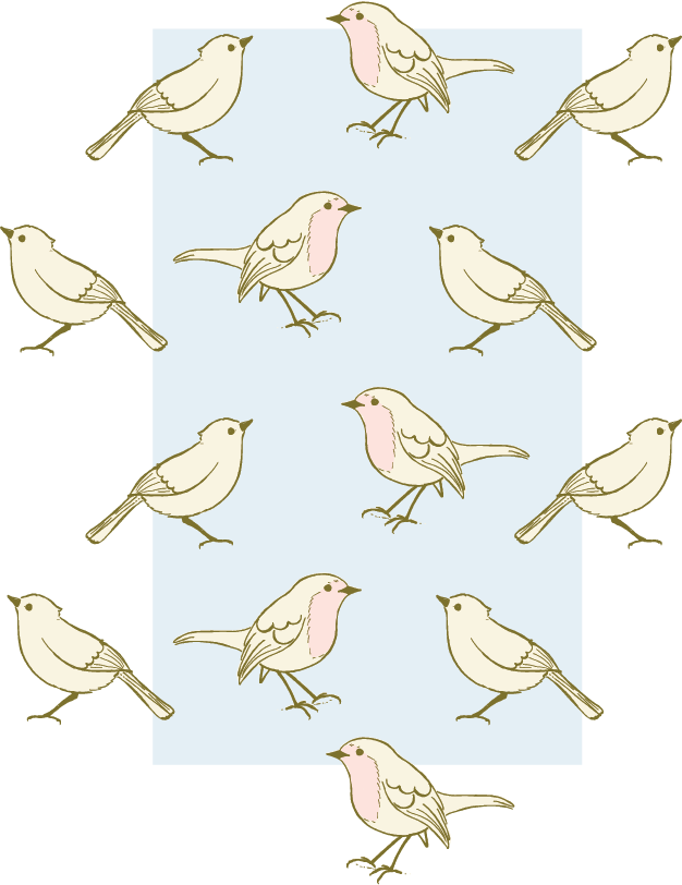 Tami Potter’s illustrated little birds