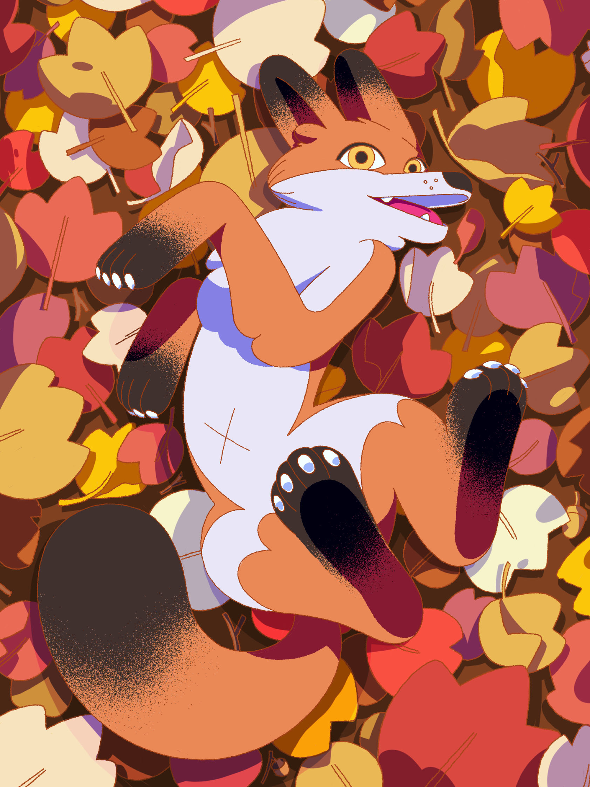 Fox on the leaves