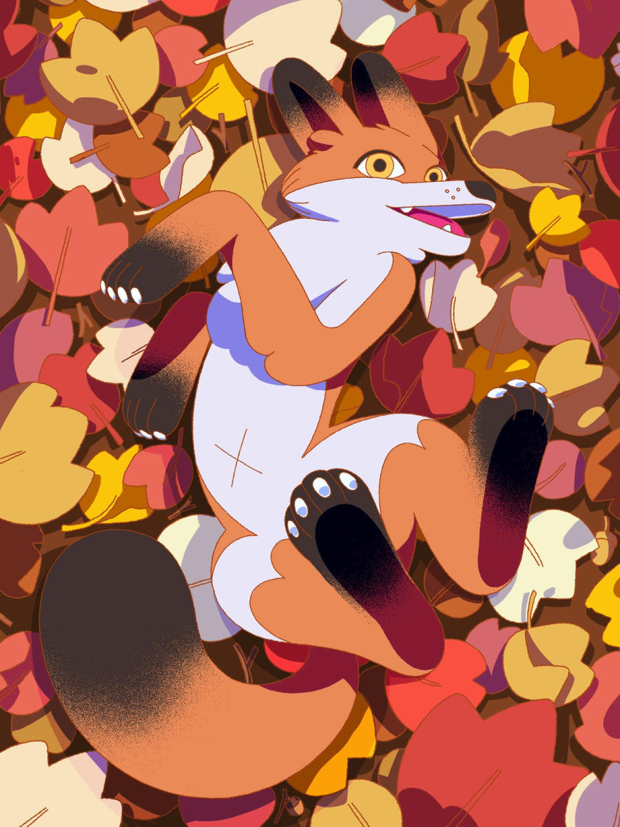 Fox on the leaves