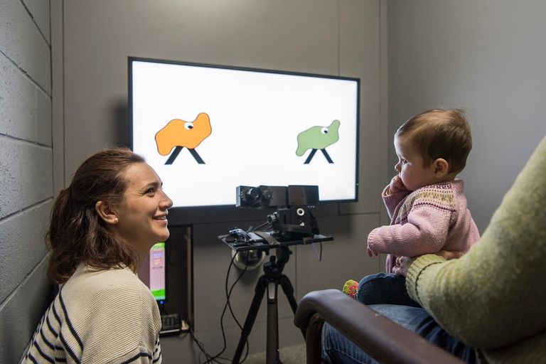 Infant Behaviour Observation Labs