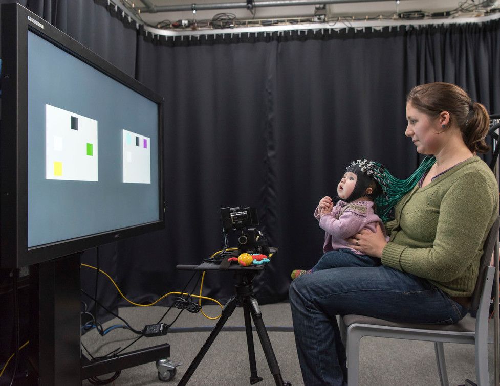 A Child Scientist taking part in an fNIRS eye-tracking session