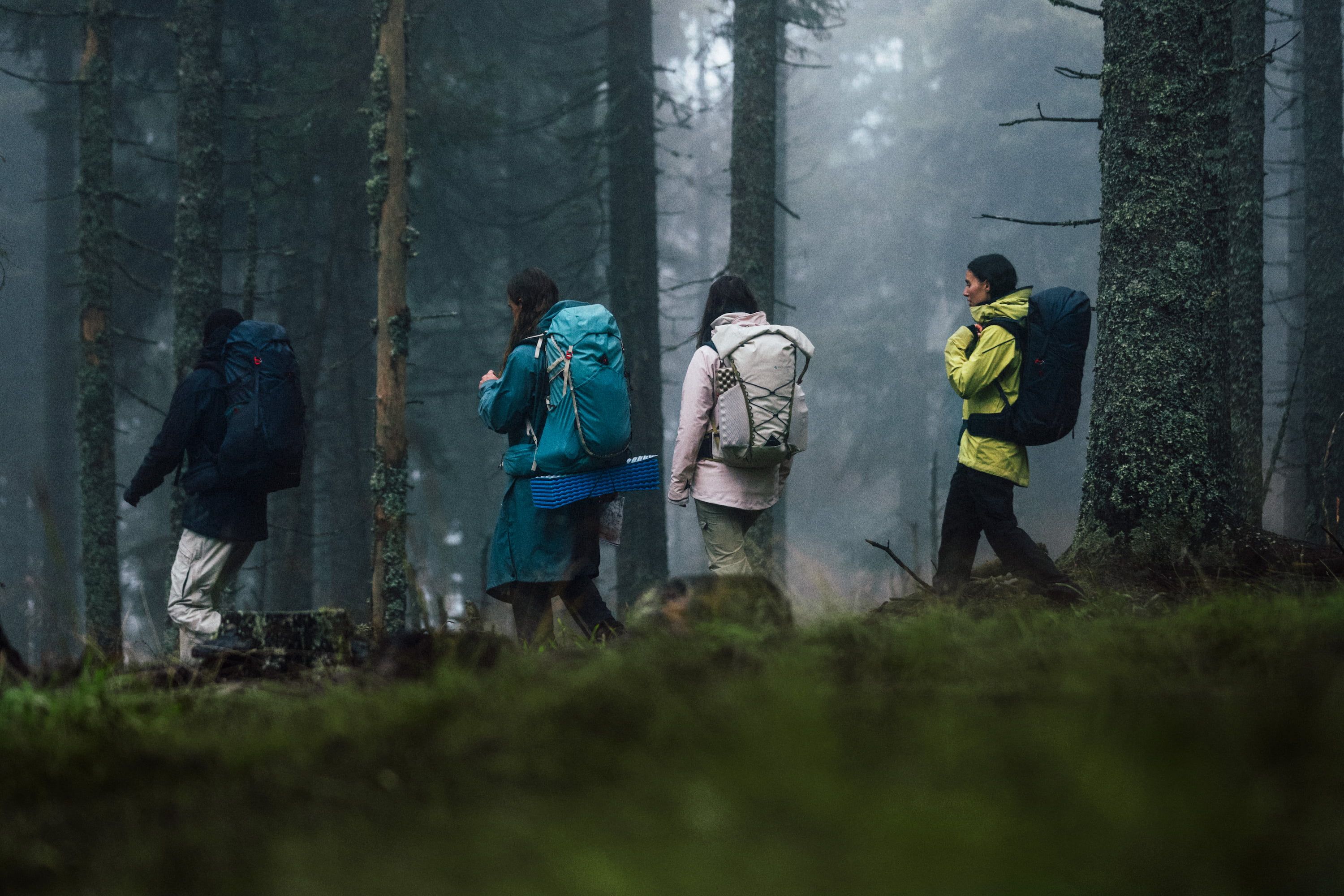 Group of people walking in the woods