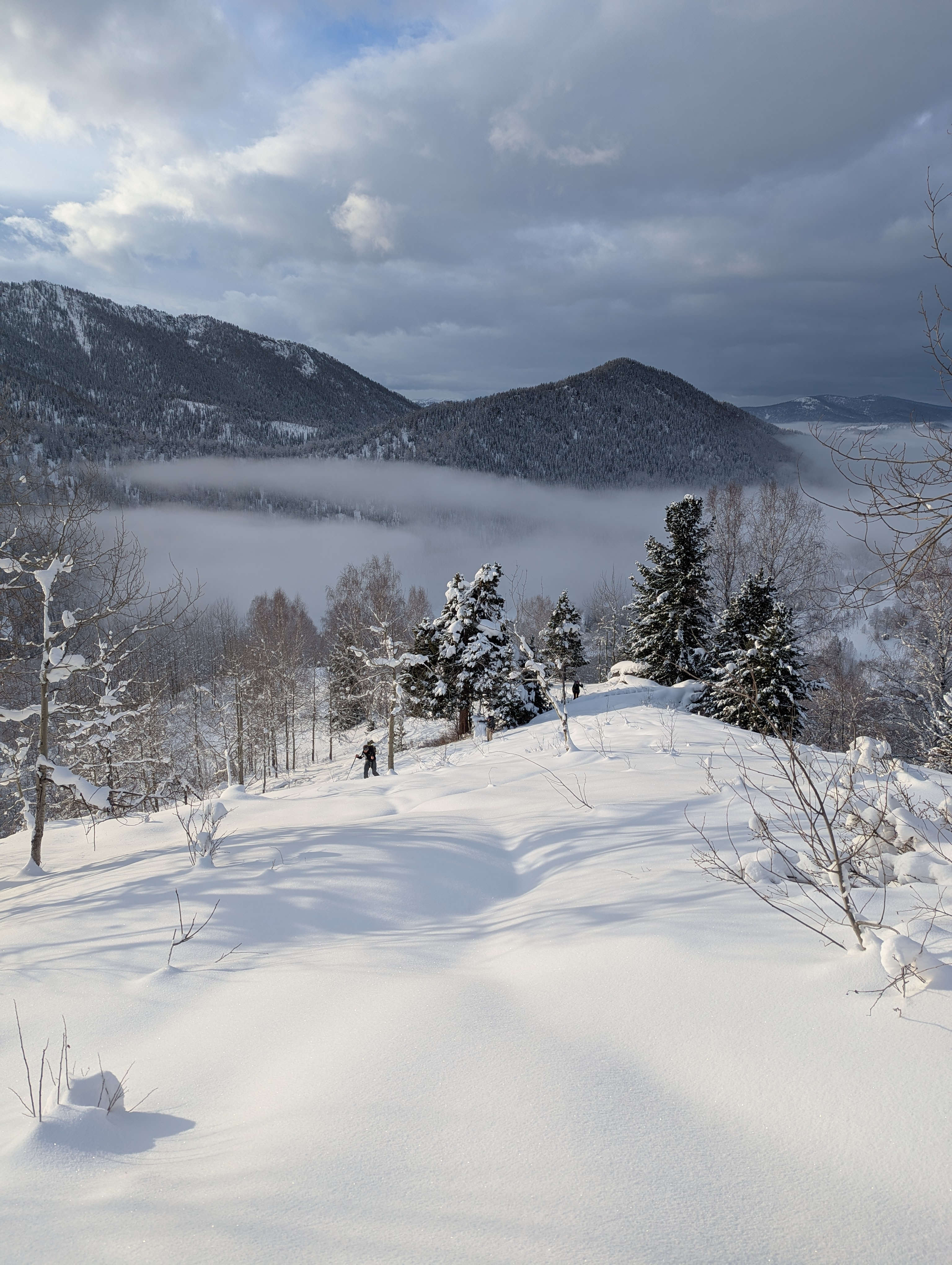 A snow-covered hillside slopes gently downward toward a valley filled with low-lying mist. Sparse leafless trees and snow-laden evergreens stand in the foreground, while forested mountains rise in the distance beneath a cloudy winter sky.