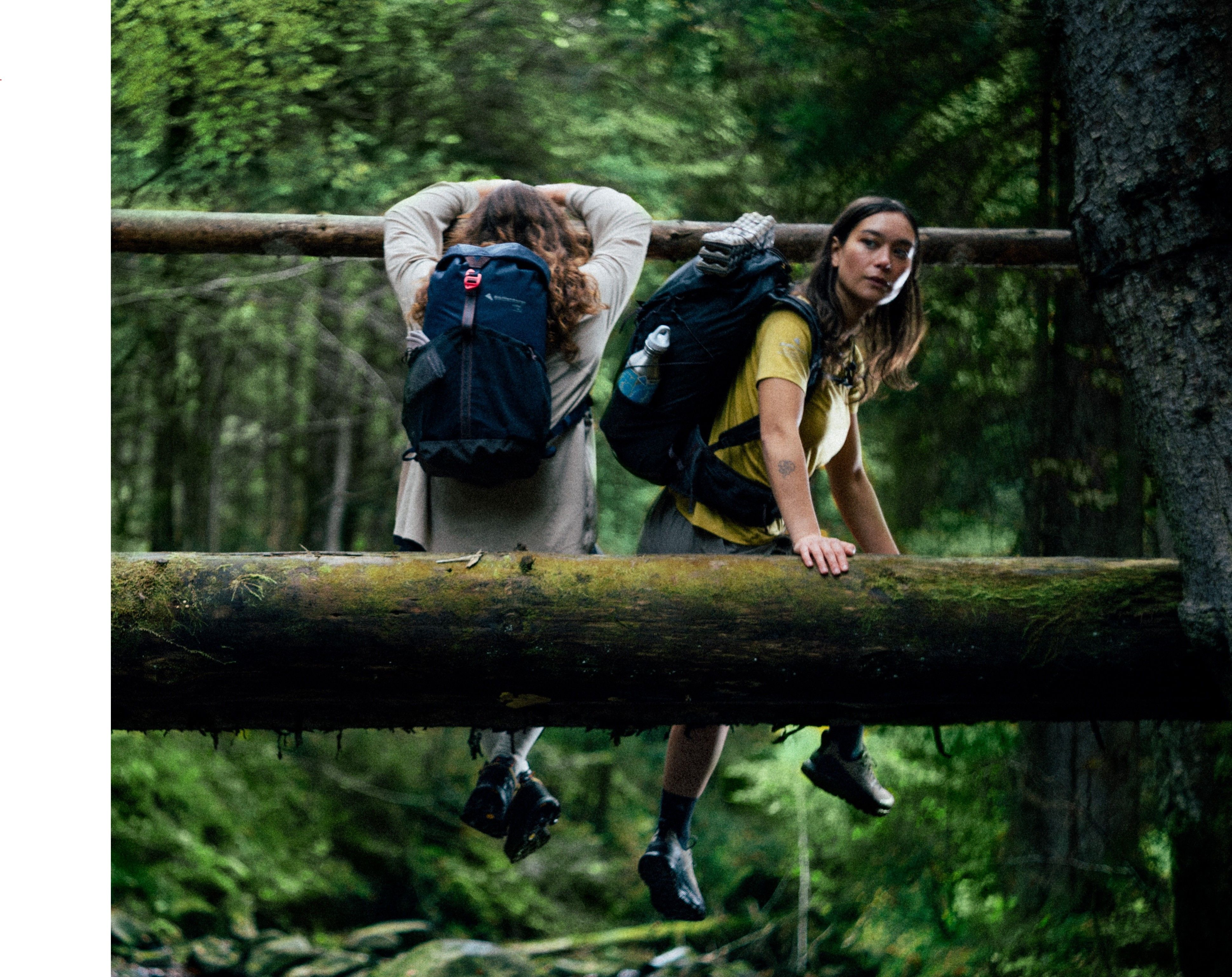 Hikers sitting on a tree