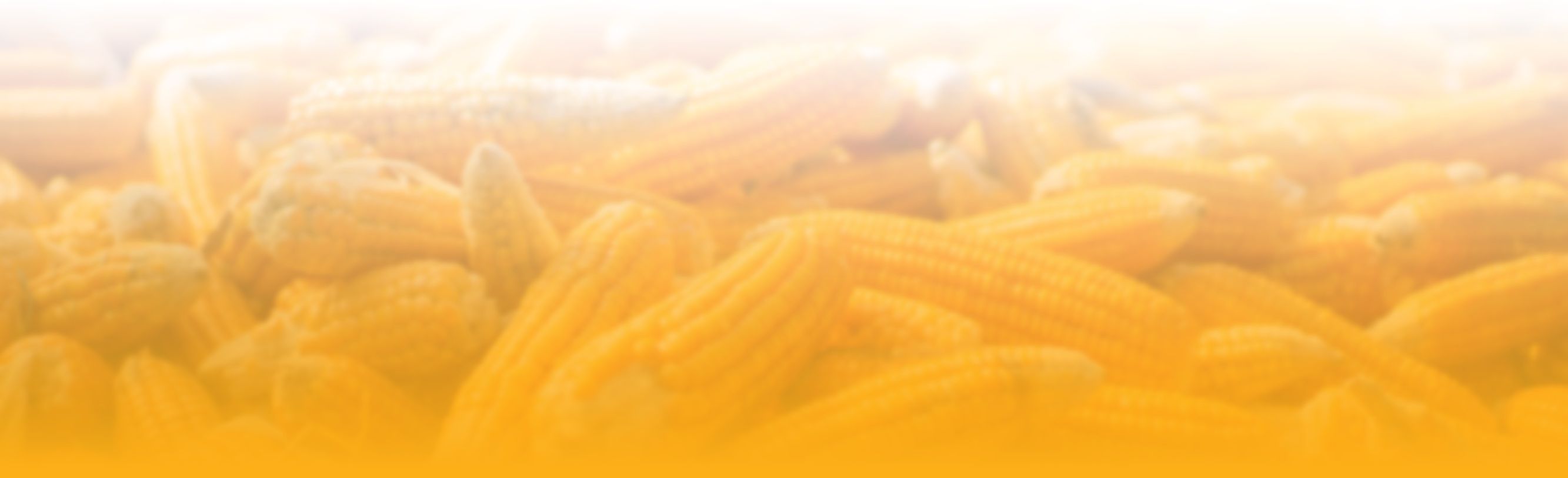 Iowa Corn Processors