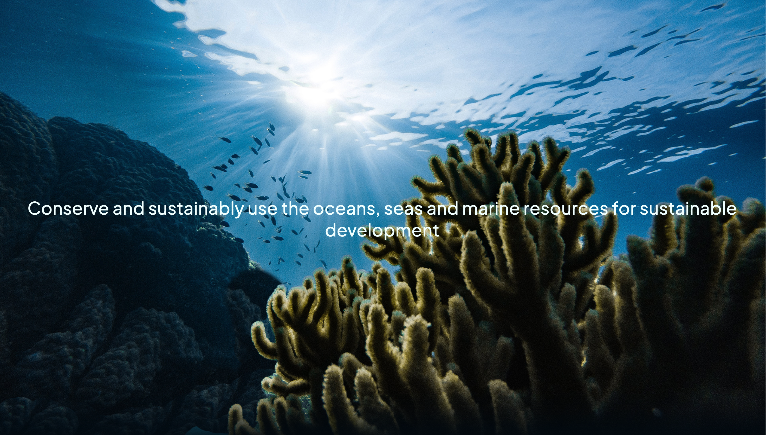 Ocean and corals with text introducing sustainability goal 14