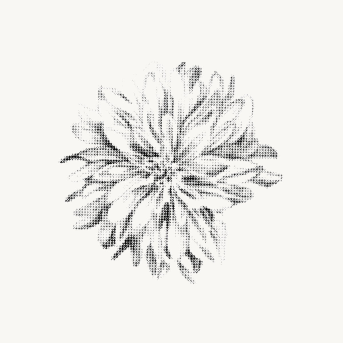 DALIA
