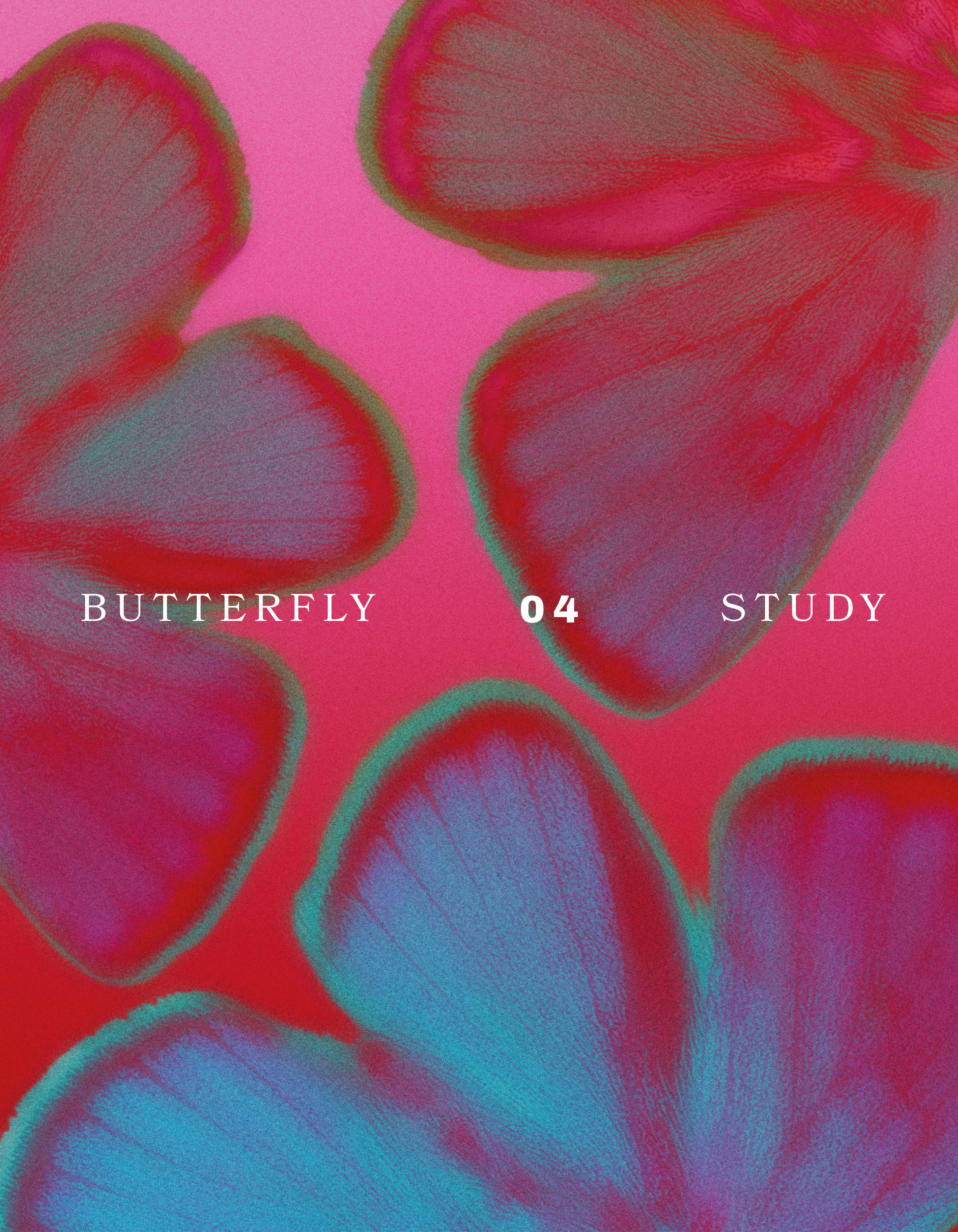 Butterfly study - Leslie David