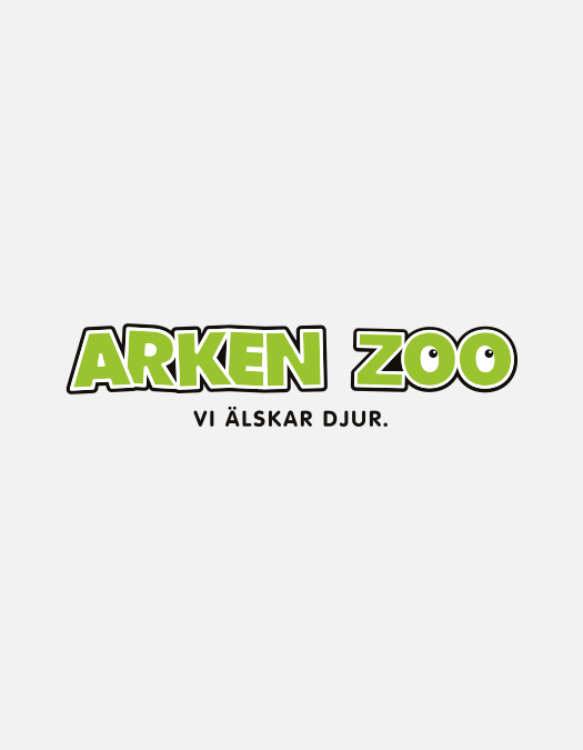 Arken Zoo logga​​​​‌﻿‍﻿​‍​‍‌‍﻿﻿‌﻿​‍‌‍‍‌‌‍‌﻿‌‍‍‌‌‍﻿‍​‍​‍​﻿‍‍​‍​‍‌﻿​﻿‌‍​‌‌‍﻿‍‌‍‍‌‌﻿‌​‌﻿‍‌​‍﻿‍‌‍‍‌‌‍﻿﻿​‍​‍​‍﻿​​‍​‍‌‍‍​‌﻿​‍‌‍‌‌‌‍‌‍​‍​‍​﻿‍‍​‍​‍​‍﻿﻿‌﻿​﻿‌﻿‌​‌﻿‌‌‌‍‌​‌‍‍‌‌‍﻿﻿​‍﻿﻿‌‍‍‌‌‍﻿‍‌﻿‌​‌‍‌‌‌‍﻿‍‌﻿‌​​‍﻿﻿‌‍‌‌‌‍‌​‌‍‍‌‌﻿‌​​‍﻿﻿‌‍﻿‌‌‍﻿﻿‌‍‌​‌‍‌‌​﻿﻿‌‌﻿​​‌﻿​‍‌‍‌‌‌﻿​﻿‌‍‌‌‌‍﻿‍‌﻿‌​‌‍​‌‌﻿‌​‌‍‍‌‌‍﻿﻿‌‍﻿‍​﻿‍﻿‌‍‍‌‌‍‌​​﻿﻿‌‌‍​﻿​﻿‌​​﻿‌﻿​﻿‍​​﻿​﻿‌‍​﻿​﻿​​​﻿‌​​‍﻿‌​﻿‍​​﻿‌​​﻿‌​‌‍‌​​‍﻿‌​﻿‌​​﻿‌﻿​﻿‌​​﻿‌‍​‍﻿‌‌‍​‍​﻿​‍​﻿‌﻿​﻿​‍​‍﻿‌​﻿‍​‌‍‌‍​﻿​﻿‌‍‌​​﻿​​​﻿‍​‌‍‌​‌‍‌‌​﻿‌‌​﻿‍‌‌‍​‍‌‍‌​​﻿‍﻿‌﻿‌​‌﻿‍‌‌﻿​​‌‍‌‌​﻿﻿‌‌‍​‌‌﻿​‍‌﻿‌​‌‍‍‌‌‍​﻿‌‍﻿​‌‍‌‌‌‌​​‌‍​‌‌‍‌﻿‌‍‌‌​﻿‍﻿‌﻿​​‌‍​‌‌﻿‌​‌‍‍​​﻿﻿‌‌﻿​​‌‍​‌‌‍‌﻿‌‍‌‌‌​​‍‌﻿‌‌‌‍‍‌‌‍﻿​‌‍‌​‌‍‌‌‌﻿​‍​‍‌‌​﻿‌‌‌​​‍‌‌﻿﻿‌‍‍﻿‌‍‌‌‌﻿‍‌​‍‌‌​﻿​﻿‌​‌​​‍‌‌​﻿​﻿‌​‌​​‍‌‌​﻿​‍​﻿​‍​﻿‍​‌‍​‌​﻿‌‍​﻿​﻿‌‍‌‍​﻿‌‌​﻿‍​​﻿​‌​﻿​‌‌‍​﻿​﻿‍‌​﻿‌‌​‍‌‌​﻿​‍​﻿​‍​‍‌‌​﻿‌‌‌​‌​​‍﻿‍‌‍‍‌‌‍﻿‌‌‍​‌‌‍‌﻿‌‍‌‌‌﻿​﻿​‍‌‌​﻿‌‌‌​​‍‌‌﻿﻿‌‍‍﻿‌‍‌‌‌﻿‍‌​‍‌‌​﻿​﻿‌​‌​​‍‌‌​﻿​﻿‌​‌​​‍‌‌​﻿​‍​﻿​‍​﻿​‍​﻿​‍​﻿‌﻿‌‍‌​‌‍‌​‌‍​﻿​﻿‌​​﻿‍​‌‍​‍‌‍‌‍‌‍‌‍‌‍‌‍​‍‌‌​﻿​‍​﻿​‍​‍‌‌​﻿‌‌‌​‌​​‍﻿‍‌‍‍‌‌‍﻿‌‌‍​‌‌‍‌﻿‌‍‌‌​‍﻿‍‌‍​‌‌‍﻿​‌﻿‌​​﻿﻿﻿‌‍​‍‌‍​‌‌﻿​﻿‌‍‌‌‌‌‌‌‌﻿​‍‌‍﻿​​﻿﻿‌​‍‌‌​﻿​‍‌​‌‍‌﻿​﻿‌﻿‌​‌﻿‌‌‌‍‌​‌‍‍‌‌‍﻿﻿​‍‌‍‌‍‍‌‌‍‌​​﻿﻿‌‌‍​﻿​﻿‌​​﻿‌﻿​﻿‍​​﻿​﻿‌‍​﻿​﻿​​​﻿‌​​‍﻿‌​﻿‍​​﻿‌​​﻿‌​‌‍‌​​‍﻿‌​﻿‌​​﻿‌﻿​﻿‌​​﻿‌‍​‍﻿‌‌‍​‍​﻿​‍​﻿‌﻿​﻿​‍​‍﻿‌​﻿‍​‌‍‌‍​﻿​﻿‌‍‌​​﻿​​​﻿‍​‌‍‌​‌‍‌‌​﻿‌‌​﻿‍‌‌‍​‍‌‍‌​​‍‌‍‌﻿‌​‌﻿‍‌‌﻿​​‌‍‌‌​﻿﻿‌‌‍​‌‌﻿​‍‌﻿‌​‌‍‍‌‌‍​﻿‌‍﻿​‌‍‌‌‌‌​​‌‍​‌‌‍‌﻿‌‍‌‌​‍‌‍‌﻿​​‌‍​‌‌﻿‌​‌‍‍​​﻿﻿‌‌﻿​​‌‍​‌‌‍‌﻿‌‍‌‌‌​​‍‌﻿‌‌‌‍‍‌‌‍﻿​‌‍‌​‌‍‌‌‌﻿​‍​‍‌‌​﻿‌‌‌​​‍‌‌﻿﻿‌‍‍﻿‌‍‌‌‌﻿‍‌​‍‌‌​﻿​﻿‌​‌​​‍‌‌​﻿​﻿‌​‌​​‍‌‌​﻿​‍​﻿​‍​﻿‍​‌‍​‌​﻿‌‍​﻿​﻿‌‍‌‍​﻿‌‌​﻿‍​​﻿​‌​﻿​‌‌‍​﻿​﻿‍‌​﻿‌‌​‍‌‌​﻿​‍​﻿​‍​‍‌‌​﻿‌‌‌​‌​​‍﻿‍‌‍‍‌‌‍﻿‌‌‍​‌‌‍‌﻿‌‍‌‌‌﻿​﻿​‍‌‌​﻿‌‌‌​​‍‌‌﻿﻿‌‍‍﻿‌‍‌‌‌﻿‍‌​‍‌‌​﻿​﻿‌​‌​​‍‌‌​﻿​﻿‌​‌​​‍‌‌​﻿​‍​﻿​‍​﻿​‍​﻿​‍​﻿‌﻿‌‍‌​‌‍‌​‌‍​﻿​﻿‌​​﻿‍​‌‍​‍‌‍‌‍‌‍‌‍‌‍‌‍​‍‌‌​﻿​‍​﻿​‍​‍‌‌​﻿‌‌‌​‌​​‍﻿‍‌‍‍‌‌‍﻿‌‌‍​‌‌‍‌﻿‌‍‌‌​‍﻿‍‌‍​‌‌‍﻿​‌﻿‌​​‍‌‍‌﻿​​‌‍‌‌‌﻿​‍‌﻿​﻿‌﻿​​‌‍‌‌‌‍​﻿‌﻿‌​‌‍‍‌‌﻿‌‍‌‍‌‌​﻿﻿‌‌﻿​​‌﻿‌‌‌‍​‍‌‍﻿​‌‍‍‌‌﻿​﻿‌‍‍​‌‍‌‌‌‍‌​​‍​‍‌﻿﻿‌