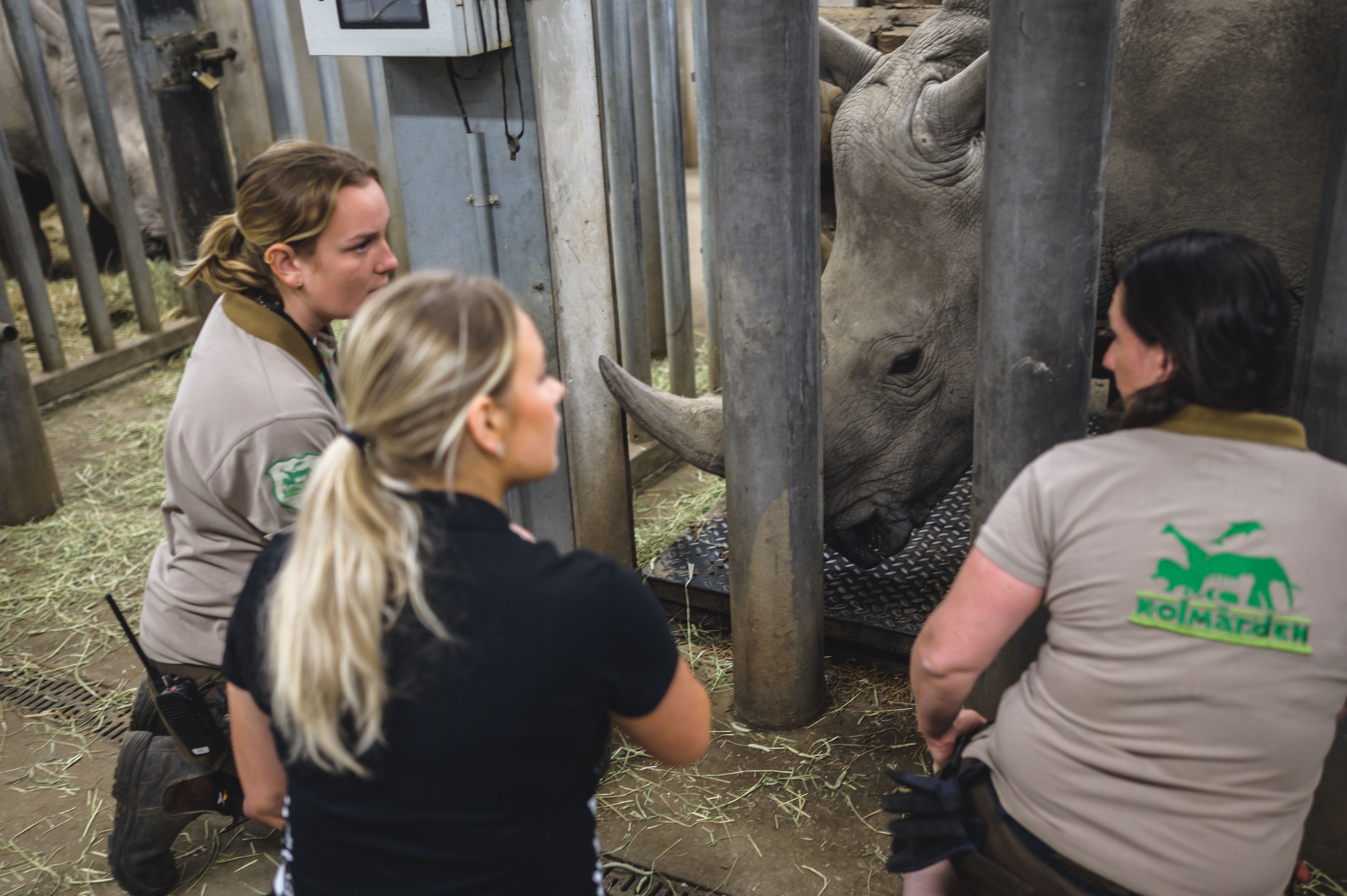 Gymnasieelev vid noshörning på Kolmården​​​​‌﻿‍﻿​‍​‍‌‍﻿﻿‌﻿​‍‌‍‍‌‌‍‌﻿‌‍‍‌‌‍﻿‍​‍​‍​﻿‍‍​‍​‍‌﻿​﻿‌‍​‌‌‍﻿‍‌‍‍‌‌﻿‌​‌﻿‍‌​‍﻿‍‌‍‍‌‌‍﻿﻿​‍​‍​‍﻿​​‍​‍‌‍‍​‌﻿​‍‌‍‌‌‌‍‌‍​‍​‍​﻿‍‍​‍​‍​‍﻿﻿‌﻿​﻿‌﻿‌​‌﻿‌‌‌‍‌​‌‍‍‌‌‍﻿﻿​‍﻿﻿‌‍‍‌‌‍﻿‍‌﻿‌​‌‍‌‌‌‍﻿‍‌﻿‌​​‍﻿﻿‌‍‌‌‌‍‌​‌‍‍‌‌﻿‌​​‍﻿﻿‌‍﻿‌‌‍﻿﻿‌‍‌​‌‍‌‌​﻿﻿‌‌﻿​​‌﻿​‍‌‍‌‌‌﻿​﻿‌‍‌‌‌‍﻿‍‌﻿‌​‌‍​‌‌﻿‌​‌‍‍‌‌‍﻿﻿‌‍﻿‍​﻿‍﻿‌‍‍‌‌‍‌​​﻿﻿‌​﻿‌﻿​﻿‌‌‌‍​‍​﻿‌​​﻿‍​​﻿‍‌​﻿​‌​﻿‌‌​‍﻿‌‌‍‌‍​﻿‌﻿‌‍​﻿​﻿​‌​‍﻿‌​﻿‌​‌‍‌​​﻿‍​​﻿‍‌​‍﻿‌‌‍​‌​﻿​‍​﻿‌‍​﻿​﻿​‍﻿‌​﻿‌​‌‍‌​​﻿‍‌​﻿‍​‌‍‌‌​﻿​﻿​﻿‌﻿‌‍‌‍‌‍​‍​﻿‍​‌‍‌‌​﻿​​​﻿‍﻿‌﻿‌​‌﻿‍‌‌﻿​​‌‍‌‌​﻿﻿‌‌‍​‌‌﻿​‍‌﻿‌​‌‍‍‌‌‍​﻿‌‍﻿​‌‍‌‌‌‌​​‌‍​‌‌‍‌﻿‌‍‌‌​﻿‍﻿‌﻿​​‌‍​‌‌﻿‌​‌‍‍​​﻿﻿‌‌﻿​​‌‍​‌‌‍‌﻿‌‍‌‌‌​​‍‌﻿‌‌‌‍‍‌‌‍﻿​‌‍‌​‌‍‌‌‌﻿​‍​‍‌‌​﻿‌‌‌​​‍‌‌﻿﻿‌‍‍﻿‌‍‌‌‌﻿‍‌​‍‌‌​﻿​﻿‌​‌​​‍‌‌​﻿​﻿‌​‌​​‍‌‌​﻿​‍​﻿​‍​﻿​﻿​﻿​‌​﻿‍‌‌‍‌‌‌‍​‌​﻿‍‌​﻿​‌​﻿‌﻿​﻿‌‌‌‍​﻿​﻿‌﻿‌‍​﻿​﻿​‍‌‍‌​‌‍​﻿‌‍​‍​﻿‌‍​﻿​‍​﻿‌‌​﻿‌﻿​﻿‌‌​﻿‌‌​﻿​‍​﻿‍‌​﻿​‌‌‍​‌​﻿​​​﻿‌‍​﻿​‍​﻿‌‌​﻿‌‌‌‍‌‌​‍‌‌​﻿​‍​﻿​‍​‍‌‌​﻿‌‌‌​‌​​‍﻿‍‌‍‍‌‌‍﻿‌‌‍​‌‌‍‌﻿‌‍‌‌​‍﻿‍‌‍​‌‌‍﻿​‌﻿‌​​﻿﻿﻿‌‍​‍‌‍​‌‌﻿​﻿‌‍‌‌‌‌‌‌‌﻿​‍‌‍﻿​​﻿﻿‌​‍‌‌​﻿​‍‌​‌‍‌﻿​﻿‌﻿‌​‌﻿‌‌‌‍‌​‌‍‍‌‌‍﻿﻿​‍‌‍‌‍‍‌‌‍‌​​﻿﻿‌​﻿‌﻿​﻿‌‌‌‍​‍​﻿‌​​﻿‍​​﻿‍‌​﻿​‌​﻿‌‌​‍﻿‌‌‍‌‍​﻿‌﻿‌‍​﻿​﻿​‌​‍﻿‌​﻿‌​‌‍‌​​﻿‍​​﻿‍‌​‍﻿‌‌‍​‌​﻿​‍​﻿‌‍​﻿​﻿​‍﻿‌​﻿‌​‌‍‌​​﻿‍‌​﻿‍​‌‍‌‌​﻿​﻿​﻿‌﻿‌‍‌‍‌‍​‍​﻿‍​‌‍‌‌​﻿​​​‍‌‍‌﻿‌​‌﻿‍‌‌﻿​​‌‍‌‌​﻿﻿‌‌‍​‌‌﻿​‍‌﻿‌​‌‍‍‌‌‍​﻿‌‍﻿​‌‍‌‌‌‌​​‌‍​‌‌‍‌﻿‌‍‌‌​‍‌‍‌﻿​​‌‍​‌‌﻿‌​‌‍‍​​﻿﻿‌‌﻿​​‌‍​‌‌‍‌﻿‌‍‌‌‌​​‍‌﻿‌‌‌‍‍‌‌‍﻿​‌‍‌​‌‍‌‌‌﻿​‍​‍‌‌​﻿‌‌‌​​‍‌‌﻿﻿‌‍‍﻿‌‍‌‌‌﻿‍‌​‍‌‌​﻿​﻿‌​‌​​‍‌‌​﻿​﻿‌​‌​​‍‌‌​﻿​‍​﻿​‍​﻿​﻿​﻿​‌​﻿‍‌‌‍‌‌‌‍​‌​﻿‍‌​﻿​‌​﻿‌﻿​﻿‌‌‌‍​﻿​﻿‌﻿‌‍​﻿​﻿​‍‌‍‌​‌‍​﻿‌‍​‍​﻿‌‍​﻿​‍​﻿‌‌​﻿‌﻿​﻿‌‌​﻿‌‌​﻿​‍​﻿‍‌​﻿​‌‌‍​‌​﻿​​​﻿‌‍​﻿​‍​﻿‌‌​﻿‌‌‌‍‌‌​‍‌‌​﻿​‍​﻿​‍​‍‌‌​﻿‌‌‌​‌​​‍﻿‍‌‍‍‌‌‍﻿‌‌‍​‌‌‍‌﻿‌‍‌‌​‍﻿‍‌‍​‌‌‍﻿​‌﻿‌​​‍‌‍‌﻿​​‌‍‌‌‌﻿​‍‌﻿​﻿‌﻿​​‌‍‌‌‌‍​﻿‌﻿‌​‌‍‍‌‌﻿‌‍‌‍‌‌​﻿﻿‌‌﻿​​‌﻿‌‌‌‍​‍‌‍﻿​‌‍‍‌‌﻿​﻿‌‍‍​‌‍‌‌‌‍‌​​‍​‍‌﻿﻿‌