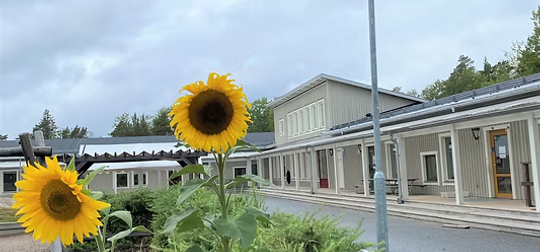 Förskolebyggnad med solrosor framför