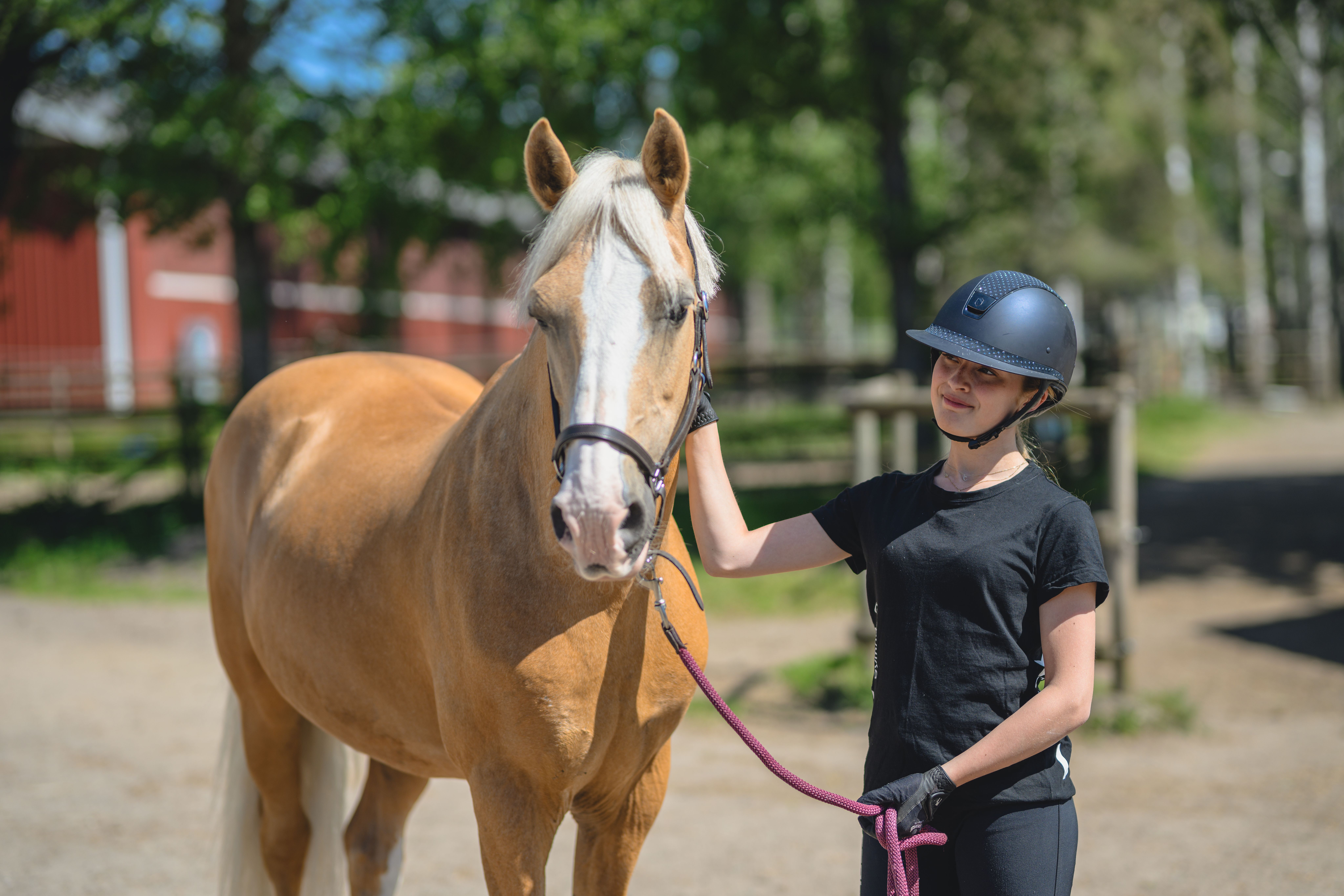 Gymnasieelev med häst ​​​​‌﻿‍﻿​‍​‍‌‍﻿﻿‌﻿​‍‌‍‍‌‌‍‌﻿‌‍‍‌‌‍﻿‍​‍​‍​﻿‍‍​‍​‍‌﻿​﻿‌‍​‌‌‍﻿‍‌‍‍‌‌﻿‌​‌﻿‍‌​‍﻿‍‌‍‍‌‌‍﻿﻿​‍​‍​‍﻿​​‍​‍‌‍‍​‌﻿​‍‌‍‌‌‌‍‌‍​‍​‍​﻿‍‍​‍​‍​‍﻿﻿‌﻿​﻿‌﻿‌​‌﻿‌‌‌‍‌​‌‍‍‌‌‍﻿﻿​‍﻿﻿‌‍‍‌‌‍﻿‍‌﻿‌​‌‍‌‌‌‍﻿‍‌﻿‌​​‍﻿﻿‌‍‌‌‌‍‌​‌‍‍‌‌﻿‌​​‍﻿﻿‌‍﻿‌‌‍﻿﻿‌‍‌​‌‍‌‌​﻿﻿‌‌﻿​​‌﻿​‍‌‍‌‌‌﻿​﻿‌‍‌‌‌‍﻿‍‌﻿‌​‌‍​‌‌﻿‌​‌‍‍‌‌‍﻿﻿‌‍﻿‍​﻿‍﻿‌‍‍‌‌‍‌​​﻿﻿‌‌‍​﻿​﻿‌​​﻿‌﻿​﻿‍​​﻿​﻿‌‍​﻿​﻿​​​﻿‌​​‍﻿‌​﻿‍​​﻿‌​​﻿‌​‌‍‌​​‍﻿‌​﻿‌​​﻿‌﻿​﻿‌​​﻿‌‍​‍﻿‌‌‍​‍​﻿​‍​﻿‌﻿​﻿​‍​‍﻿‌​﻿‍​‌‍‌‍​﻿​﻿‌‍‌​​﻿​​​﻿‍​‌‍‌​‌‍‌‌​﻿‌‌​﻿‍‌‌‍​‍‌‍‌​​﻿‍﻿‌﻿‌​‌﻿‍‌‌﻿​​‌‍‌‌​﻿﻿‌‌‍​‌‌﻿​‍‌﻿‌​‌‍‍‌‌‍​﻿‌‍﻿​‌‍‌‌‌‌​​‌‍​‌‌‍‌﻿‌‍‌‌​﻿‍﻿‌﻿​​‌‍​‌‌﻿‌​‌‍‍​​﻿﻿‌‌﻿​​‌‍​‌‌‍‌﻿‌‍‌‌‌​​‍‌﻿‌‌‌‍‍‌‌‍﻿​‌‍‌​‌‍‌‌‌﻿​‍​‍‌‌​﻿‌‌‌​​‍‌‌﻿﻿‌‍‍﻿‌‍‌‌‌﻿‍‌​‍‌‌​﻿​﻿‌​‌​​‍‌‌​﻿​﻿‌​‌​​‍‌‌​﻿​‍​﻿​‍‌‍​‍‌‍‌‍‌‍‌‌​﻿‍‌​﻿​‌​﻿‌‍​﻿​‌​﻿​​​﻿​‌​﻿‍​​﻿‌‌​﻿​​​‍‌‌​﻿​‍​﻿​‍​‍‌‌​﻿‌‌‌​‌​​‍﻿‍‌‍​﻿‌‍​‌‌﻿​‍‌‍‌​‌﻿​﻿​‍‌‌​﻿‌‌‌​​‍‌‌﻿﻿‌‍‍﻿‌‍‌‌‌﻿‍‌​‍‌‌​﻿​﻿‌​‌​​‍‌‌​﻿​﻿‌​‌​​‍‌‌​﻿​‍​﻿​‍‌‍​‌‌‍‌‌​﻿‍​​﻿‌‌​﻿‍‌‌‍‌‍​﻿‍‌‌‍‌‌​﻿‍​‌‍​﻿‌‍​‍‌‍‌‌​‍‌‌​﻿​‍​﻿​‍​‍‌‌​﻿‌‌‌​‌​​‍﻿‍‌‍‍‌‌‍﻿‌‌‍​‌‌‍‌﻿‌‍‌‌​‍﻿‍‌‍​‌‌‍﻿​‌﻿‌​​﻿﻿﻿‌‍​‍‌‍​‌‌﻿​﻿‌‍‌‌‌‌‌‌‌﻿​‍‌‍﻿​​﻿﻿‌​‍‌‌​﻿​‍‌​‌‍‌﻿​﻿‌﻿‌​‌﻿‌‌‌‍‌​‌‍‍‌‌‍﻿﻿​‍‌‍‌‍‍‌‌‍‌​​﻿﻿‌‌‍​﻿​﻿‌​​﻿‌﻿​﻿‍​​﻿​﻿‌‍​﻿​﻿​​​﻿‌​​‍﻿‌​﻿‍​​﻿‌​​﻿‌​‌‍‌​​‍﻿‌​﻿‌​​﻿‌﻿​﻿‌​​﻿‌‍​‍﻿‌‌‍​‍​﻿​‍​﻿‌﻿​﻿​‍​‍﻿‌​﻿‍​‌‍‌‍​﻿​﻿‌‍‌​​﻿​​​﻿‍​‌‍‌​‌‍‌‌​﻿‌‌​﻿‍‌‌‍​‍‌‍‌​​‍‌‍‌﻿‌​‌﻿‍‌‌﻿​​‌‍‌‌​﻿﻿‌‌‍​‌‌﻿​‍‌﻿‌​‌‍‍‌‌‍​﻿‌‍﻿​‌‍‌‌‌‌​​‌‍​‌‌‍‌﻿‌‍‌‌​‍‌‍‌﻿​​‌‍​‌‌﻿‌​‌‍‍​​﻿﻿‌‌﻿​​‌‍​‌‌‍‌﻿‌‍‌‌‌​​‍‌﻿‌‌‌‍‍‌‌‍﻿​‌‍‌​‌‍‌‌‌﻿​‍​‍‌‌​﻿‌‌‌​​‍‌‌﻿﻿‌‍‍﻿‌‍‌‌‌﻿‍‌​‍‌‌​﻿​﻿‌​‌​​‍‌‌​﻿​﻿‌​‌​​‍‌‌​﻿​‍​﻿​‍‌‍​‍‌‍‌‍‌‍‌‌​﻿‍‌​﻿​‌​﻿‌‍​﻿​‌​﻿​​​﻿​‌​﻿‍​​﻿‌‌​﻿​​​‍‌‌​﻿​‍​﻿​‍​‍‌‌​﻿‌‌‌​‌​​‍﻿‍‌‍​﻿‌‍​‌‌﻿​‍‌‍‌​‌﻿​﻿​‍‌‌​﻿‌‌‌​​‍‌‌﻿﻿‌‍‍﻿‌‍‌‌‌﻿‍‌​‍‌‌​﻿​﻿‌​‌​​‍‌‌​﻿​﻿‌​‌​​‍‌‌​﻿​‍​﻿​‍‌‍​‌‌‍‌‌​﻿‍​​﻿‌‌​﻿‍‌‌‍‌‍​﻿‍‌‌‍‌‌​﻿‍​‌‍​﻿‌‍​‍‌‍‌‌​‍‌‌​﻿​‍​﻿​‍​‍‌‌​﻿‌‌‌​‌​​‍﻿‍‌‍‍‌‌‍﻿‌‌‍​‌‌‍‌﻿‌‍‌‌​‍﻿‍‌‍​‌‌‍﻿​‌﻿‌​​‍‌‍‌﻿​​‌‍‌‌‌﻿​‍‌﻿​﻿‌﻿​​‌‍‌‌‌‍​﻿‌﻿‌​‌‍‍‌‌﻿‌‍‌‍‌‌​﻿﻿‌‌﻿​​‌﻿‌‌‌‍​‍‌‍﻿​‌‍‍‌‌﻿​﻿‌‍‍​‌‍‌‌‌‍‌​​‍​‍‌﻿﻿‌