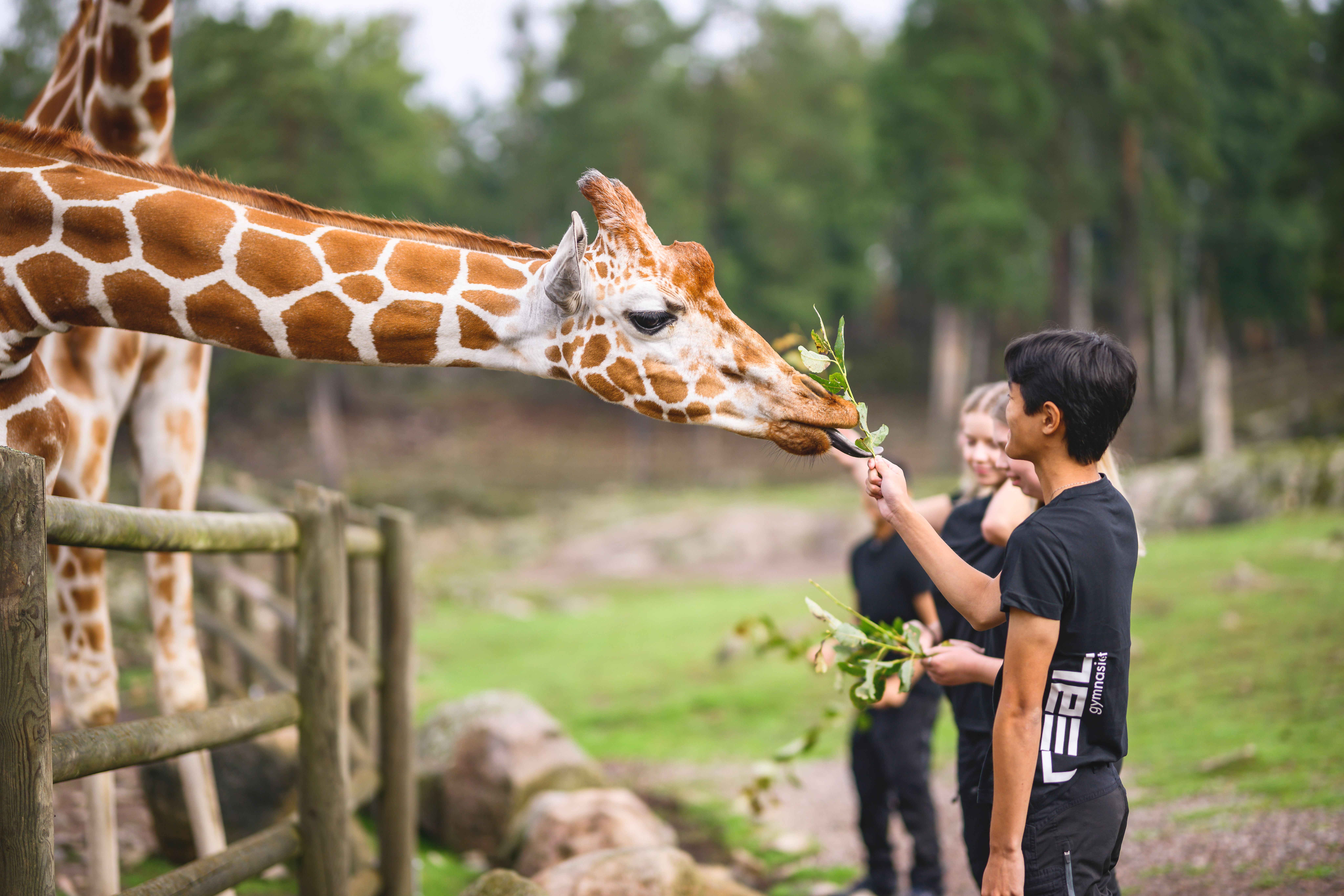 Elever på kolmården matar giraff​​​​‌﻿‍﻿​‍​‍‌‍﻿﻿‌﻿​‍‌‍‍‌‌‍‌﻿‌‍‍‌‌‍﻿‍​‍​‍​﻿‍‍​‍​‍‌﻿​﻿‌‍​‌‌‍﻿‍‌‍‍‌‌﻿‌​‌﻿‍‌​‍﻿‍‌‍‍‌‌‍﻿﻿​‍​‍​‍﻿​​‍​‍‌‍‍​‌﻿​‍‌‍‌‌‌‍‌‍​‍​‍​﻿‍‍​‍​‍​‍﻿﻿‌﻿​﻿‌﻿‌​‌﻿‌‌‌‍‌​‌‍‍‌‌‍﻿﻿​‍﻿﻿‌‍‍‌‌‍﻿‍‌﻿‌​‌‍‌‌‌‍﻿‍‌﻿‌​​‍﻿﻿‌‍‌‌‌‍‌​‌‍‍‌‌﻿‌​​‍﻿﻿‌‍﻿‌‌‍﻿﻿‌‍‌​‌‍‌‌​﻿﻿‌‌﻿​​‌﻿​‍‌‍‌‌‌﻿​﻿‌‍‌‌‌‍﻿‍‌﻿‌​‌‍​‌‌﻿‌​‌‍‍‌‌‍﻿﻿‌‍﻿‍​﻿‍﻿‌‍‍‌‌‍‌​​﻿﻿‌​﻿‍​​﻿‌﻿​﻿‍‌​﻿‍​​﻿​​‌‍‌​‌‍‌​​﻿‍‌​‍﻿‌​﻿‌​‌‍​‌‌‍​‍‌‍‌‌​‍﻿‌​﻿‌​​﻿‍‌​﻿‌‌‌‍‌‌​‍﻿‌‌‍​‍​﻿‍‌​﻿‍​​﻿​​​‍﻿‌‌‍​‌‌‍‌‌​﻿‌‍​﻿‍​‌‍​‍‌‍​﻿​﻿​﻿​﻿‌​‌‍​﻿​﻿​﻿​﻿​﻿‌‍‌‍​﻿‍﻿‌﻿‌​‌﻿‍‌‌﻿​​‌‍‌‌​﻿﻿‌‌‍​‌‌﻿​‍‌﻿‌​‌‍‍‌‌‍​﻿‌‍﻿​‌‍‌‌‌‌​​‌‍​‌‌‍‌﻿‌‍‌‌​﻿‍﻿‌﻿​​‌‍​‌‌﻿‌​‌‍‍​​﻿﻿‌‌﻿​​‌‍​‌‌‍‌﻿‌‍‌‌‌​​‍‌﻿‌‌‌‍‍‌‌‍﻿​‌‍‌​‌‍‌‌‌﻿​‍​‍‌‌​﻿‌‌‌​​‍‌‌﻿﻿‌‍‍﻿‌‍‌‌‌﻿‍‌​‍‌‌​﻿​﻿‌​‌​​‍‌‌​﻿​﻿‌​‌​​‍‌‌​﻿​‍​﻿​‍‌‍​﻿​﻿‌‍​﻿‌‌​﻿​​‌‍​‍‌‍‌‍​﻿‍​​﻿‍​‌‍​‌‌‍​﻿‌‍​‌​﻿​​​‍‌‌​﻿​‍​﻿​‍​‍‌‌​﻿‌‌‌​‌​​‍﻿‍‌‍​﻿‌‍​‌‌﻿​‍‌‍‌​‌﻿​﻿​‍‌‌​﻿‌‌‌​​‍‌‌﻿﻿‌‍‍﻿‌‍‌‌‌﻿‍‌​‍‌‌​﻿​﻿‌​‌​​‍‌‌​﻿​﻿‌​‌​​‍‌‌​﻿​‍​﻿​‍​﻿‍​​﻿‌﻿‌‍​﻿‌‍​‌​﻿​​​﻿​﻿‌‍​‍​﻿‌﻿​﻿‌​‌‍‌‍‌‍​‌‌‍​﻿​‍‌‌​﻿​‍​﻿​‍​‍‌‌​﻿‌‌‌​‌​​‍﻿‍‌‍‍‌‌‍﻿‌‌‍​‌‌‍‌﻿‌‍‌‌​‍﻿‍‌‍​‌‌‍﻿​‌﻿‌​​﻿﻿﻿‌‍​‍‌‍​‌‌﻿​﻿‌‍‌‌‌‌‌‌‌﻿​‍‌‍﻿​​﻿﻿‌​‍‌‌​﻿​‍‌​‌‍‌﻿​﻿‌﻿‌​‌﻿‌‌‌‍‌​‌‍‍‌‌‍﻿﻿​‍‌‍‌‍‍‌‌‍‌​​﻿﻿‌​﻿‍​​﻿‌﻿​﻿‍‌​﻿‍​​﻿​​‌‍‌​‌‍‌​​﻿‍‌​‍﻿‌​﻿‌​‌‍​‌‌‍​‍‌‍‌‌​‍﻿‌​﻿‌​​﻿‍‌​﻿‌‌‌‍‌‌​‍﻿‌‌‍​‍​﻿‍‌​﻿‍​​﻿​​​‍﻿‌‌‍​‌‌‍‌‌​﻿‌‍​﻿‍​‌‍​‍‌‍​﻿​﻿​﻿​﻿‌​‌‍​﻿​﻿​﻿​﻿​﻿‌‍‌‍​‍‌‍‌﻿‌​‌﻿‍‌‌﻿​​‌‍‌‌​﻿﻿‌‌‍​‌‌﻿​‍‌﻿‌​‌‍‍‌‌‍​﻿‌‍﻿​‌‍‌‌‌‌​​‌‍​‌‌‍‌﻿‌‍‌‌​‍‌‍‌﻿​​‌‍​‌‌﻿‌​‌‍‍​​﻿﻿‌‌﻿​​‌‍​‌‌‍‌﻿‌‍‌‌‌​​‍‌﻿‌‌‌‍‍‌‌‍﻿​‌‍‌​‌‍‌‌‌﻿​‍​‍‌‌​﻿‌‌‌​​‍‌‌﻿﻿‌‍‍﻿‌‍‌‌‌﻿‍‌​‍‌‌​﻿​﻿‌​‌​​‍‌‌​﻿​﻿‌​‌​​‍‌‌​﻿​‍​﻿​‍‌‍​﻿​﻿‌‍​﻿‌‌​﻿​​‌‍​‍‌‍‌‍​﻿‍​​﻿‍​‌‍​‌‌‍​﻿‌‍​‌​﻿​​​‍‌‌​﻿​‍​﻿​‍​‍‌‌​﻿‌‌‌​‌​​‍﻿‍‌‍​﻿‌‍​‌‌﻿​‍‌‍‌​‌﻿​﻿​‍‌‌​﻿‌‌‌​​‍‌‌﻿﻿‌‍‍﻿‌‍‌‌‌﻿‍‌​‍‌‌​﻿​﻿‌​‌​​‍‌‌​﻿​﻿‌​‌​​‍‌‌​﻿​‍​﻿​‍​﻿‍​​﻿‌﻿‌‍​﻿‌‍​‌​﻿​​​﻿​﻿‌‍​‍​﻿‌﻿​﻿‌​‌‍‌‍‌‍​‌‌‍​﻿​‍‌‌​﻿​‍​﻿​‍​‍‌‌​﻿‌‌‌​‌​​‍﻿‍‌‍‍‌‌‍﻿‌‌‍​‌‌‍‌﻿‌‍‌‌​‍﻿‍‌‍​‌‌‍﻿​‌﻿‌​​‍‌‍‌﻿​​‌‍‌‌‌﻿​‍‌﻿​﻿‌﻿​​‌‍‌‌‌‍​﻿‌﻿‌​‌‍‍‌‌﻿‌‍‌‍‌‌​﻿﻿‌‌﻿​​‌﻿‌‌‌‍​‍‌‍﻿​‌‍‍‌‌﻿​﻿‌‍‍​‌‍‌‌‌‍‌​​‍​‍‌﻿﻿‌