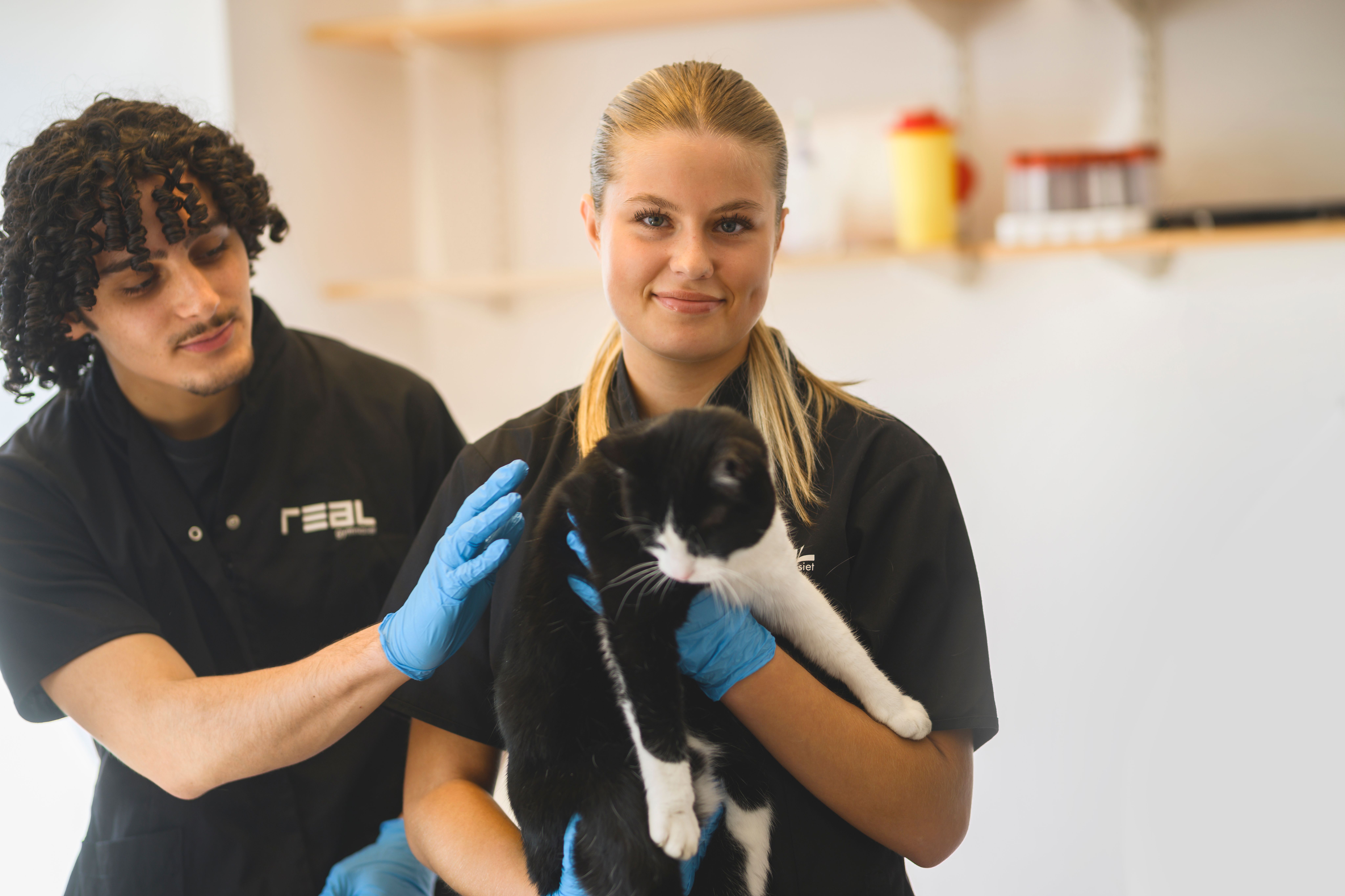 Gymnasieelev med katt​​​​‌﻿‍﻿​‍​‍‌‍﻿﻿‌﻿​‍‌‍‍‌‌‍‌﻿‌‍‍‌‌‍﻿‍​‍​‍​﻿‍‍​‍​‍‌﻿​﻿‌‍​‌‌‍﻿‍‌‍‍‌‌﻿‌​‌﻿‍‌​‍﻿‍‌‍‍‌‌‍﻿﻿​‍​‍​‍﻿​​‍​‍‌‍‍​‌﻿​‍‌‍‌‌‌‍‌‍​‍​‍​﻿‍‍​‍​‍​‍﻿﻿‌﻿​﻿‌﻿‌​‌﻿‌‌‌‍‌​‌‍‍‌‌‍﻿﻿​‍﻿﻿‌‍‍‌‌‍﻿‍‌﻿‌​‌‍‌‌‌‍﻿‍‌﻿‌​​‍﻿﻿‌‍‌‌‌‍‌​‌‍‍‌‌﻿‌​​‍﻿﻿‌‍﻿‌‌‍﻿﻿‌‍‌​‌‍‌‌​﻿﻿‌‌﻿​​‌﻿​‍‌‍‌‌‌﻿​﻿‌‍‌‌‌‍﻿‍‌﻿‌​‌‍​‌‌﻿‌​‌‍‍‌‌‍﻿﻿‌‍﻿‍​﻿‍﻿‌‍‍‌‌‍‌​​﻿﻿‌​﻿‌﻿​﻿‌‌‌‍​‍​﻿‌​​﻿‍​​﻿‍‌​﻿​‌​﻿‌‌​‍﻿‌‌‍‌‍​﻿‌﻿‌‍​﻿​﻿​‌​‍﻿‌​﻿‌​‌‍‌​​﻿‍​​﻿‍‌​‍﻿‌‌‍​‌​﻿​‍​﻿‌‍​﻿​﻿​‍﻿‌​﻿‌​‌‍‌​​﻿‍‌​﻿‍​‌‍‌‌​﻿​﻿​﻿‌﻿‌‍‌‍‌‍​‍​﻿‍​‌‍‌‌​﻿​​​﻿‍﻿‌﻿‌​‌﻿‍‌‌﻿​​‌‍‌‌​﻿﻿‌‌‍​‌‌﻿​‍‌﻿‌​‌‍‍‌‌‍​﻿‌‍﻿​‌‍‌‌‌‌​​‌‍​‌‌‍‌﻿‌‍‌‌​﻿‍﻿‌﻿​​‌‍​‌‌﻿‌​‌‍‍​​﻿﻿‌‌﻿​​‌‍​‌‌‍‌﻿‌‍‌‌‌​​‍‌﻿‌‌‌‍‍‌‌‍﻿​‌‍‌​‌‍‌‌‌﻿​‍​‍‌‌​﻿‌‌‌​​‍‌‌﻿﻿‌‍‍﻿‌‍‌‌‌﻿‍‌​‍‌‌​﻿​﻿‌​‌​​‍‌‌​﻿​﻿‌​‌​​‍‌‌​﻿​‍​﻿​‍‌‍‌‌​﻿​﻿‌‍‌​​﻿‌‌‌‍‌‌‌‍‌‌​﻿‌‍​﻿​‌‌‍​‍​﻿​‍​﻿‌‌​﻿​﻿​‍‌‌​﻿​‍​﻿​‍​‍‌‌​﻿‌‌‌​‌​​‍﻿‍‌﻿‌﻿‌‍‌‌‌‍‌‌‌‍‍﻿‌﻿​﻿​‍‌‌​﻿‌‌‌​​‍‌‌﻿﻿‌‍‍﻿‌‍‌‌‌﻿‍‌​‍‌‌​﻿​﻿‌​‌​​‍‌‌​﻿​﻿‌​‌​​‍‌‌​﻿​‍​﻿​‍‌‍​‍‌‍​﻿​﻿‍​​﻿‍​​﻿​‌​﻿‍​​﻿​‌‌‍​﻿​﻿‍‌​﻿​‌‌‍‌‍​﻿‍‌​‍‌‌​﻿​‍​﻿​‍​‍‌‌​﻿‌‌‌​‌​​‍﻿‍‌﻿​﻿‌‍​﻿‌‍‍​‌‍‌‌‌‍‌​‌﻿‌‌‌‍﻿​‌‍‌‌​‍‌‌​﻿‌‌‌​​‍‌‌﻿﻿‌‍‍﻿‌‍‌‌‌﻿‍‌​‍‌‌​﻿​﻿‌​‌​​‍‌‌​﻿​﻿‌​‌​​‍‌‌​﻿​‍​﻿​‍​﻿‌‌‌‍​‌​﻿​​‌‍​﻿​﻿‌‍​﻿‍‌‌‍‌‌‌‍‌‌​﻿​﻿‌‍‌‍​﻿‌‌​﻿‌‌​‍‌‌​﻿​‍​﻿​‍​‍‌‌​﻿‌‌‌​‌​​‍﻿‍‌‍‍‌‌‍﻿‌‌‍​‌‌‍‌﻿‌‍‌‌​‍﻿‍‌‍​‌‌‍﻿​‌﻿‌​​﻿﻿﻿‌‍​‍‌‍​‌‌﻿​﻿‌‍‌‌‌‌‌‌‌﻿​‍‌‍﻿​​﻿﻿‌​‍‌‌​﻿​‍‌​‌‍‌﻿​﻿‌﻿‌​‌﻿‌‌‌‍‌​‌‍‍‌‌‍﻿﻿​‍‌‍‌‍‍‌‌‍‌​​﻿﻿‌​﻿‌﻿​﻿‌‌‌‍​‍​﻿‌​​﻿‍​​﻿‍‌​﻿​‌​﻿‌‌​‍﻿‌‌‍‌‍​﻿‌﻿‌‍​﻿​﻿​‌​‍﻿‌​﻿‌​‌‍‌​​﻿‍​​﻿‍‌​‍﻿‌‌‍​‌​﻿​‍​﻿‌‍​﻿​﻿​‍﻿‌​﻿‌​‌‍‌​​﻿‍‌​﻿‍​‌‍‌‌​﻿​﻿​﻿‌﻿‌‍‌‍‌‍​‍​﻿‍​‌‍‌‌​﻿​​​‍‌‍‌﻿‌​‌﻿‍‌‌﻿​​‌‍‌‌​﻿﻿‌‌‍​‌‌﻿​‍‌﻿‌​‌‍‍‌‌‍​﻿‌‍﻿​‌‍‌‌‌‌​​‌‍​‌‌‍‌﻿‌‍‌‌​‍‌‍‌﻿​​‌‍​‌‌﻿‌​‌‍‍​​﻿﻿‌‌﻿​​‌‍​‌‌‍‌﻿‌‍‌‌‌​​‍‌﻿‌‌‌‍‍‌‌‍﻿​‌‍‌​‌‍‌‌‌﻿​‍​‍‌‌​﻿‌‌‌​​‍‌‌﻿﻿‌‍‍﻿‌‍‌‌‌﻿‍‌​‍‌‌​﻿​﻿‌​‌​​‍‌‌​﻿​﻿‌​‌​​‍‌‌​﻿​‍​﻿​‍‌‍‌‌​﻿​﻿‌‍‌​​﻿‌‌‌‍‌‌‌‍‌‌​﻿‌‍​﻿​‌‌‍​‍​﻿​‍​﻿‌‌​﻿​﻿​‍‌‌​﻿​‍​﻿​‍​‍‌‌​﻿‌‌‌​‌​​‍﻿‍‌﻿‌﻿‌‍‌‌‌‍‌‌‌‍‍﻿‌﻿​﻿​‍‌‌​﻿‌‌‌​​‍‌‌﻿﻿‌‍‍﻿‌‍‌‌‌﻿‍‌​‍‌‌​﻿​﻿‌​‌​​‍‌‌​﻿​﻿‌​‌​​‍‌‌​﻿​‍​﻿​‍‌‍​‍‌‍​﻿​﻿‍​​﻿‍​​﻿​‌​﻿‍​​﻿​‌‌‍​﻿​﻿‍‌​﻿​‌‌‍‌‍​﻿‍‌​‍‌‌​﻿​‍​﻿​‍​‍‌‌​﻿‌‌‌​‌​​‍﻿‍‌﻿​﻿‌‍​﻿‌‍‍​‌‍‌‌‌‍‌​‌﻿‌‌‌‍﻿​‌‍‌‌​‍‌‌​﻿‌‌‌​​‍‌‌﻿﻿‌‍‍﻿‌‍‌‌‌﻿‍‌​‍‌‌​﻿​﻿‌​‌​​‍‌‌​﻿​﻿‌​‌​​‍‌‌​﻿​‍​﻿​‍​﻿‌‌‌‍​‌​﻿​​‌‍​﻿​﻿‌‍​﻿‍‌‌‍‌‌‌‍‌‌​﻿​﻿‌‍‌‍​﻿‌‌​﻿‌‌​‍‌‌​﻿​‍​﻿​‍​‍‌‌​﻿‌‌‌​‌​​‍﻿‍‌‍‍‌‌‍﻿‌‌‍​‌‌‍‌﻿‌‍‌‌​‍﻿‍‌‍​‌‌‍﻿​‌﻿‌​​‍‌‍‌﻿​​‌‍‌‌‌﻿​‍‌﻿​﻿‌﻿​​‌‍‌‌‌‍​﻿‌﻿‌​‌‍‍‌‌﻿‌‍‌‍‌‌​﻿﻿‌‌﻿​​‌﻿‌‌‌‍​‍‌‍﻿​‌‍‍‌‌﻿​﻿‌‍‍​‌‍‌‌‌‍‌​​‍​‍‌﻿﻿‌