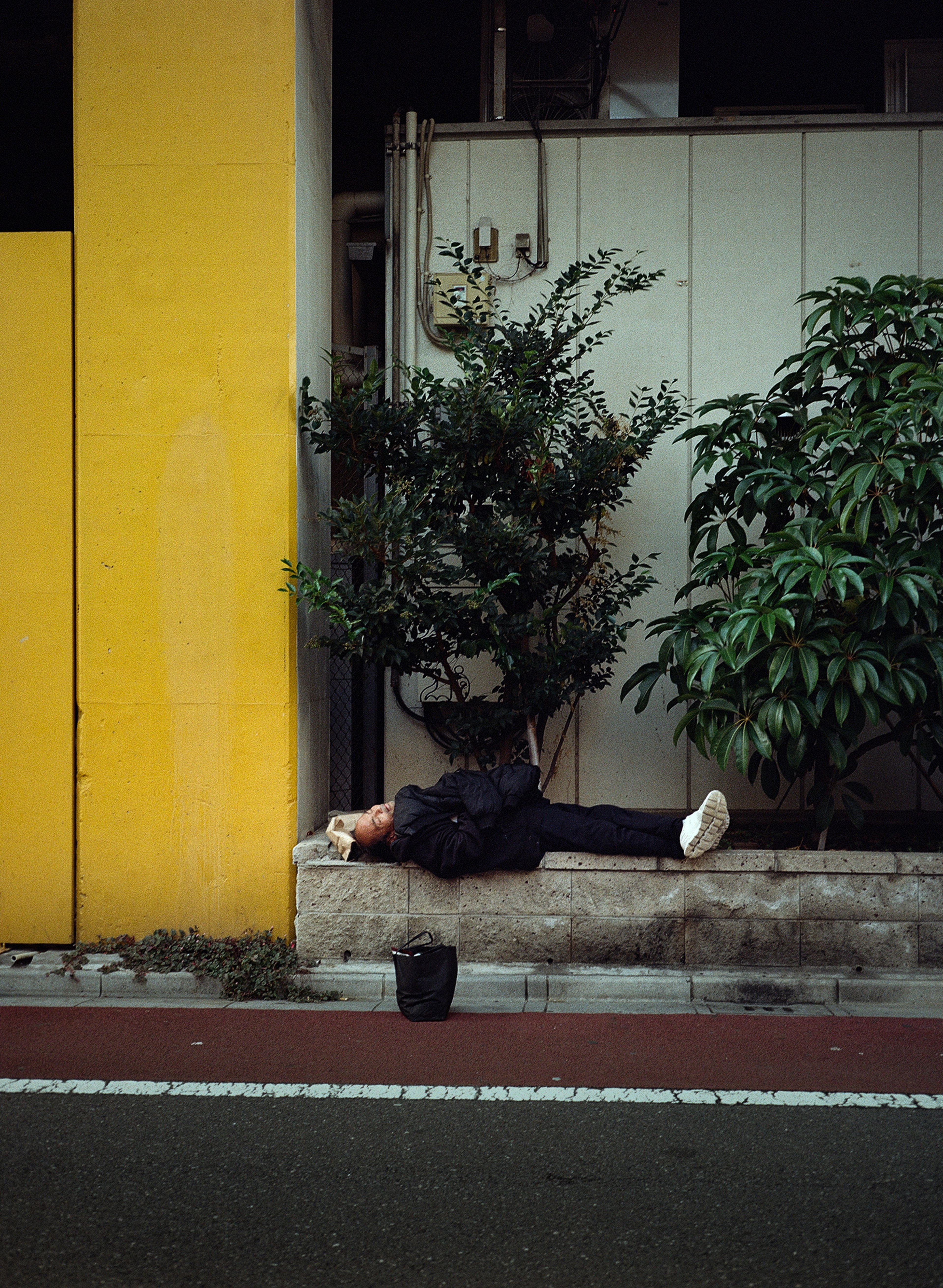 Photo 41