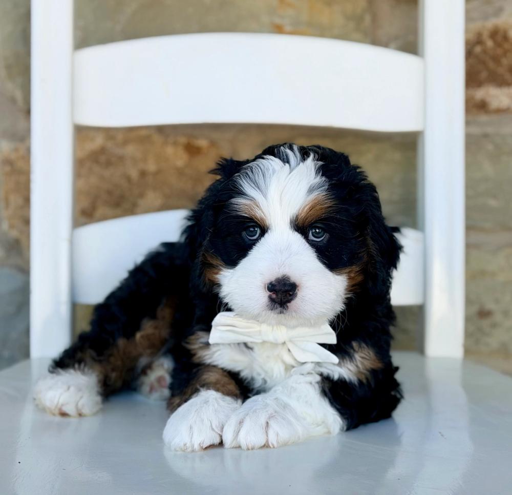 Clyde 2