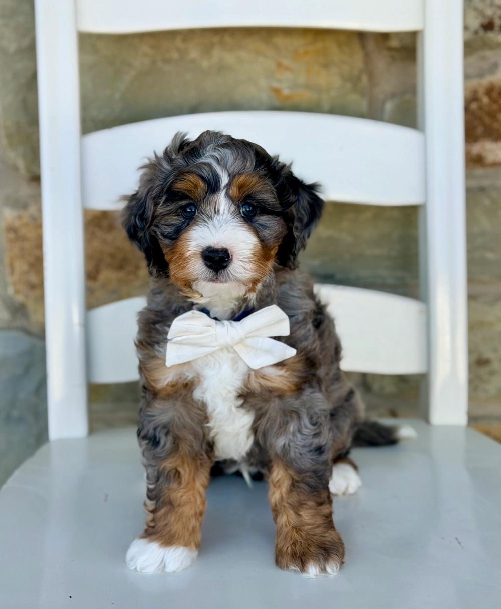 Gatsby 2