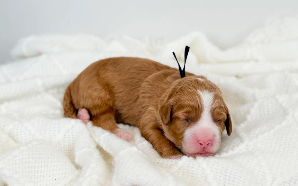 M.J. 3