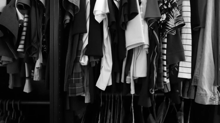 6 Threats to Your Wardrobe: Moths, Mice, & More | Renuity