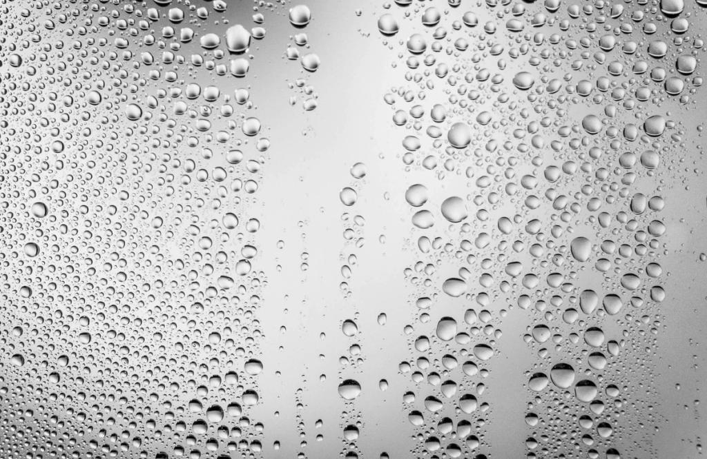 Effective Ways to Reduce Bathroom Humidity | Renuity Blog