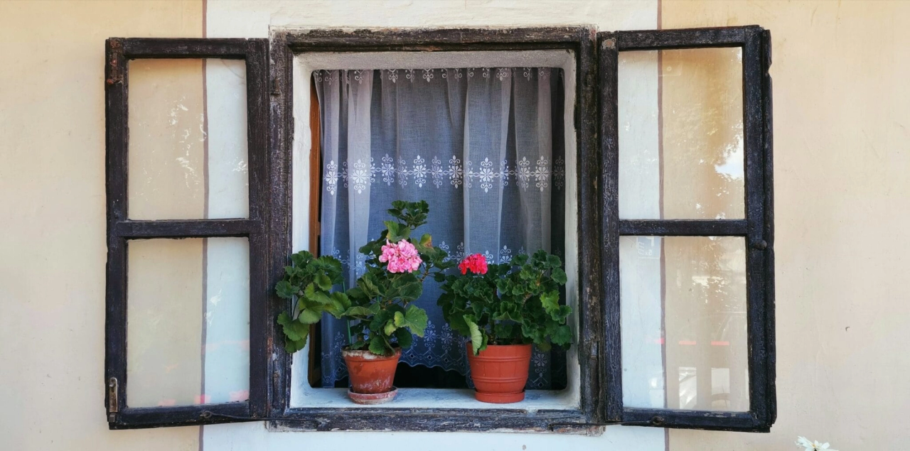 old historic window