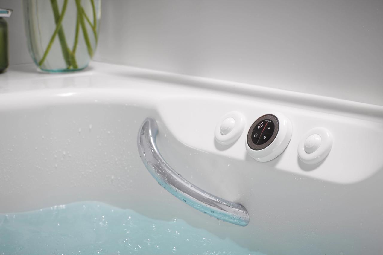 walk-in bathtub grab bar