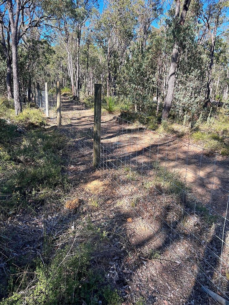 Rural post-and-wire fencing running through native bushland on a Perth Hills acreage property