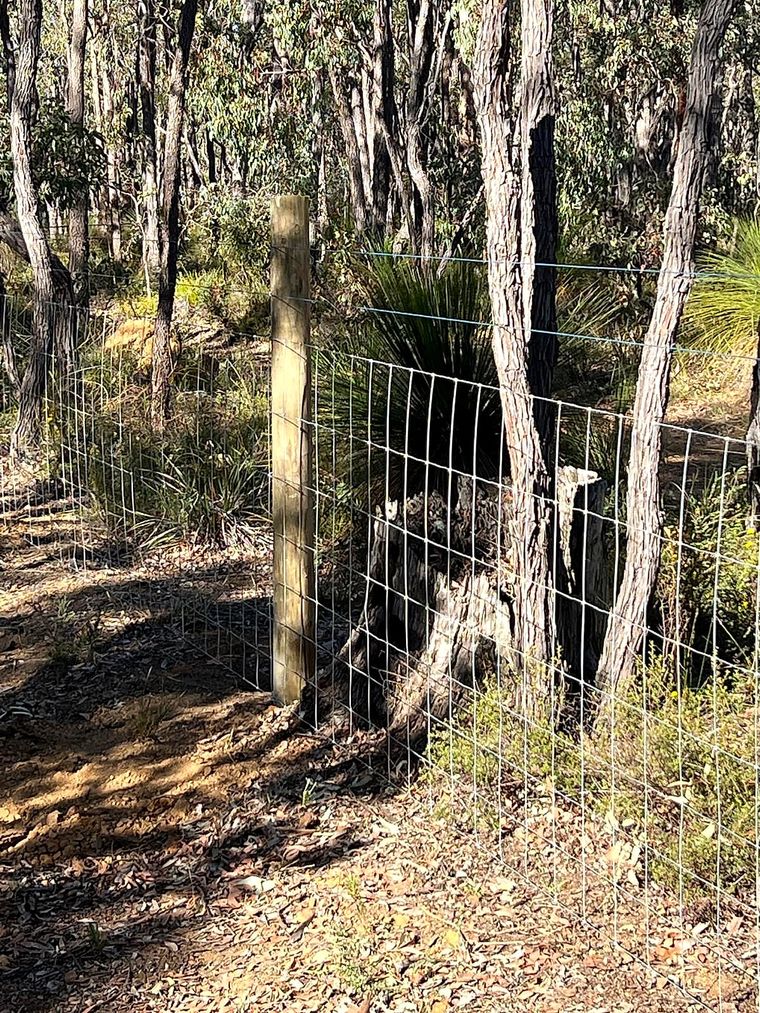 Galvanised rural mesh fencing with timber posts through native Perth Hills bushland