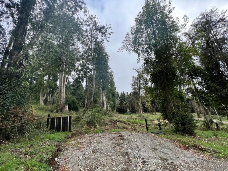Lot for sale in Frutillar, Los Lagos