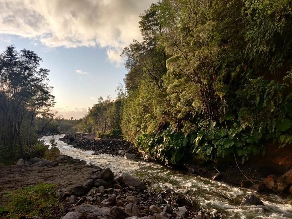 Se vende casa en Puerto Varas 1578 — foto 12
