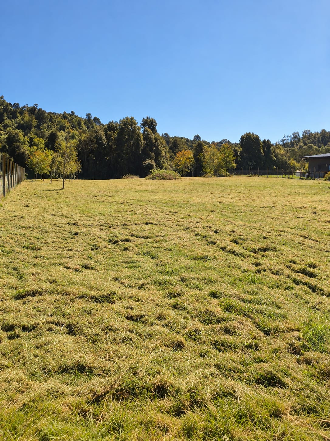 Se vende parcela en Puerto Varas 1580 — foto 11