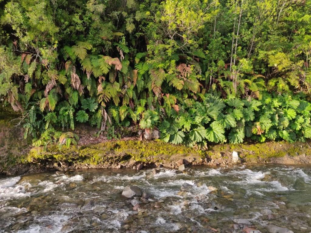Se vende casa en Puerto Varas 1578 — foto 13